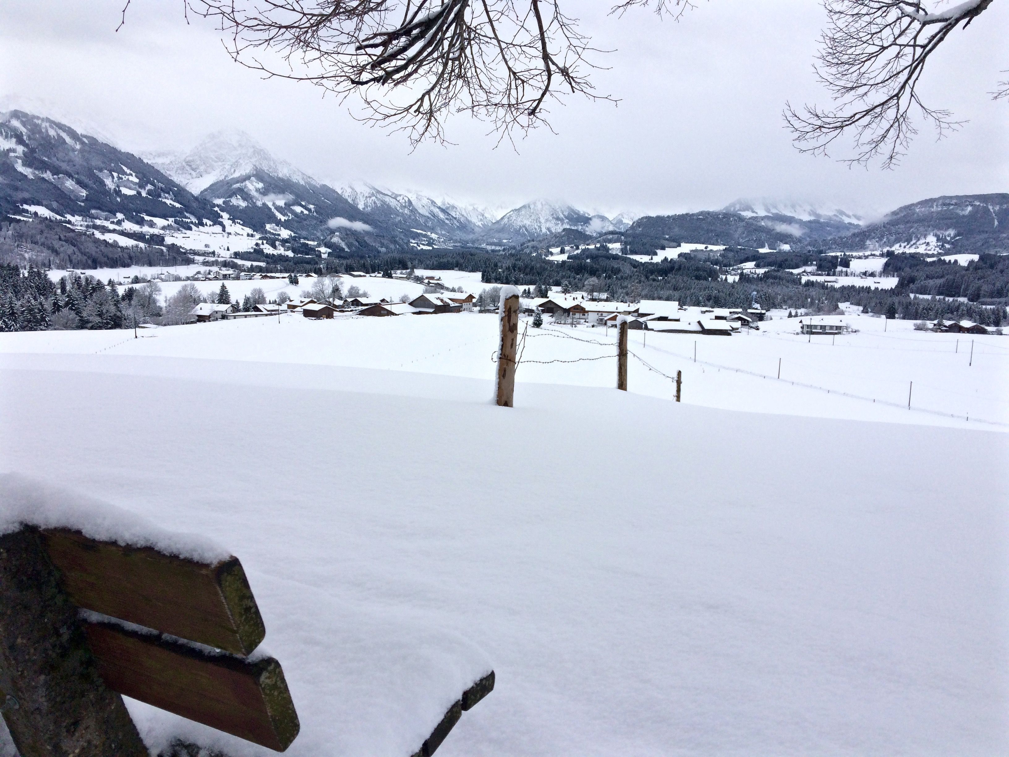 Wittelsbacher Höhe bei Schweineberg 