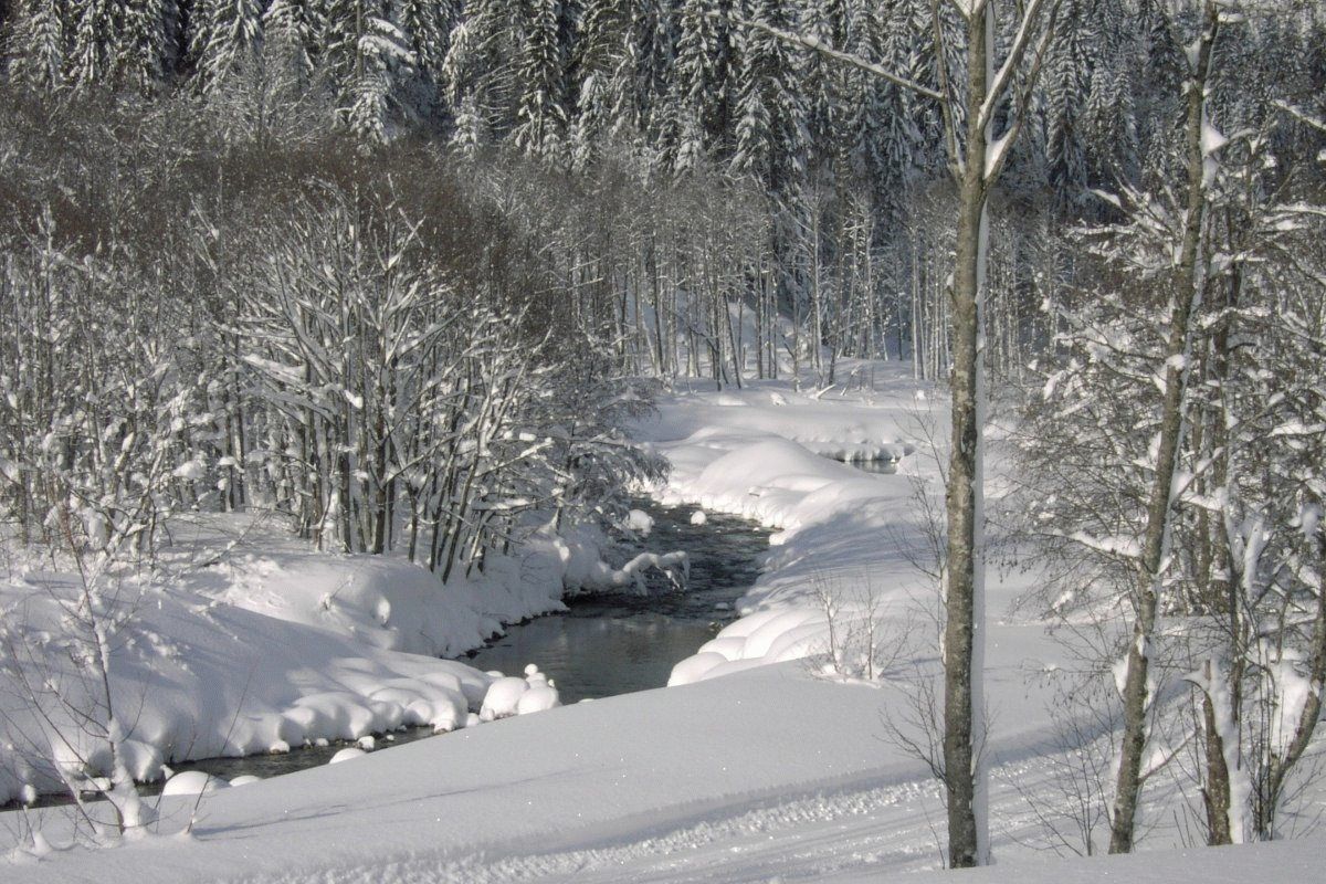 Winterwandern am Bolgenachweg