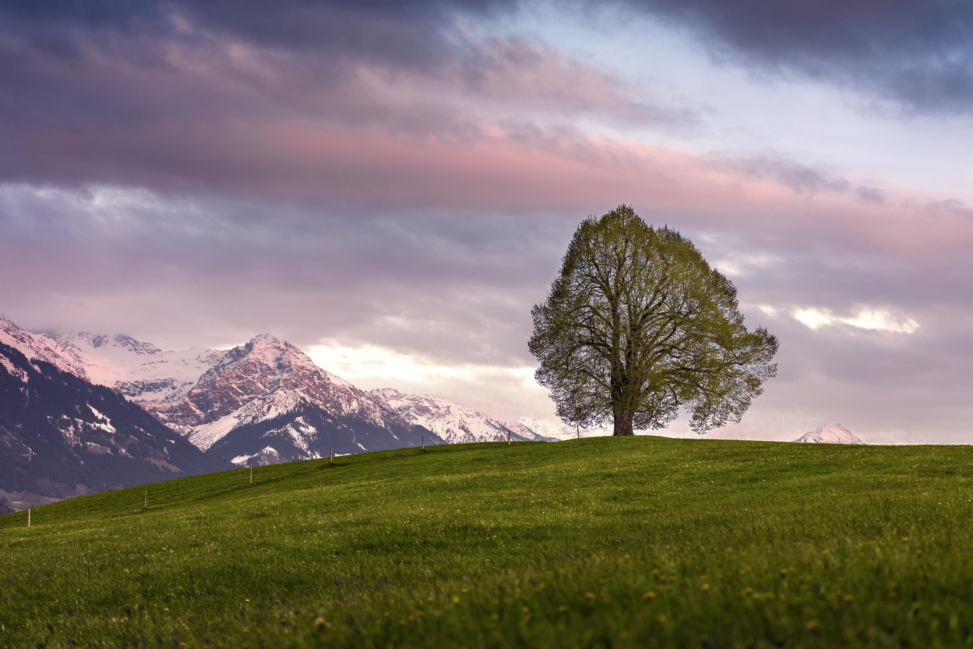 Blick auf die Wittelsbacher Höhe