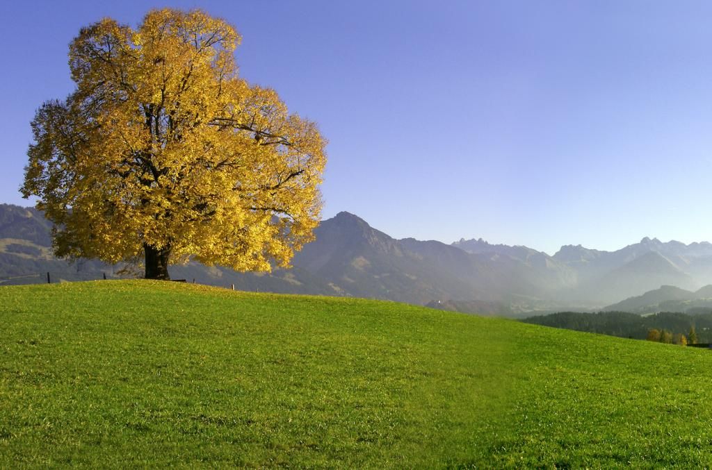 Wittelsbacher Höhe