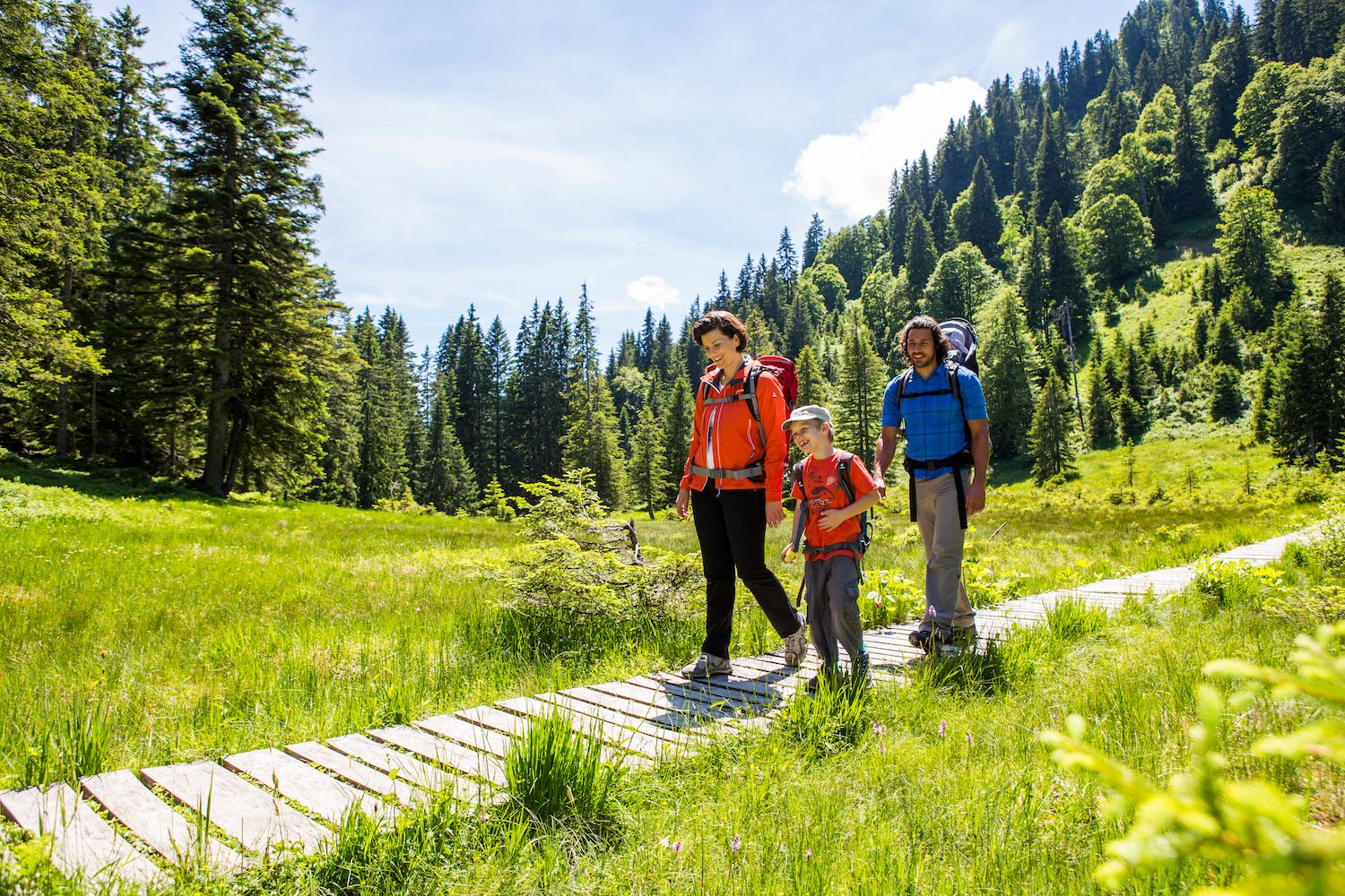 Wanderung durch das Hühnermoosmoor am Söllereck