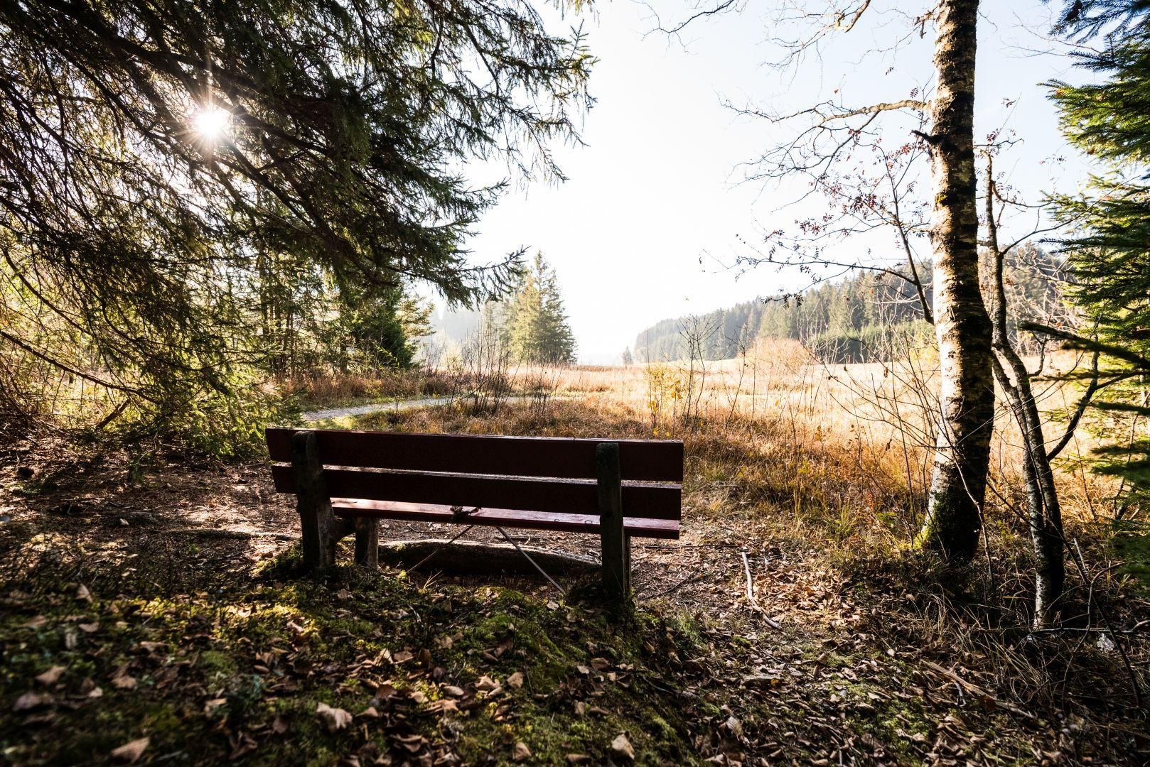 Herbst am Tiefenberger Moos