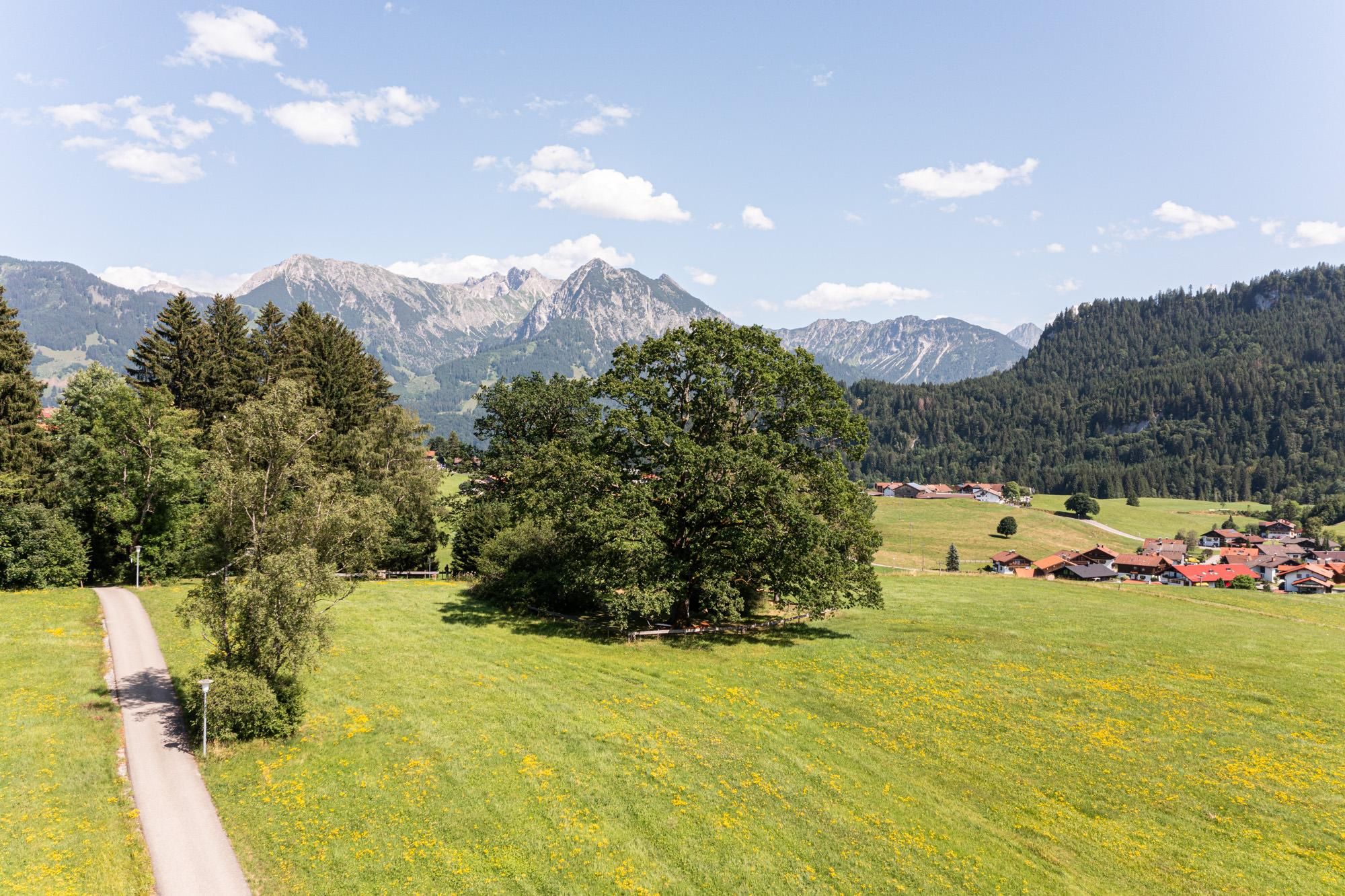 Waldfest auf der Spöck in Obermaiselstein