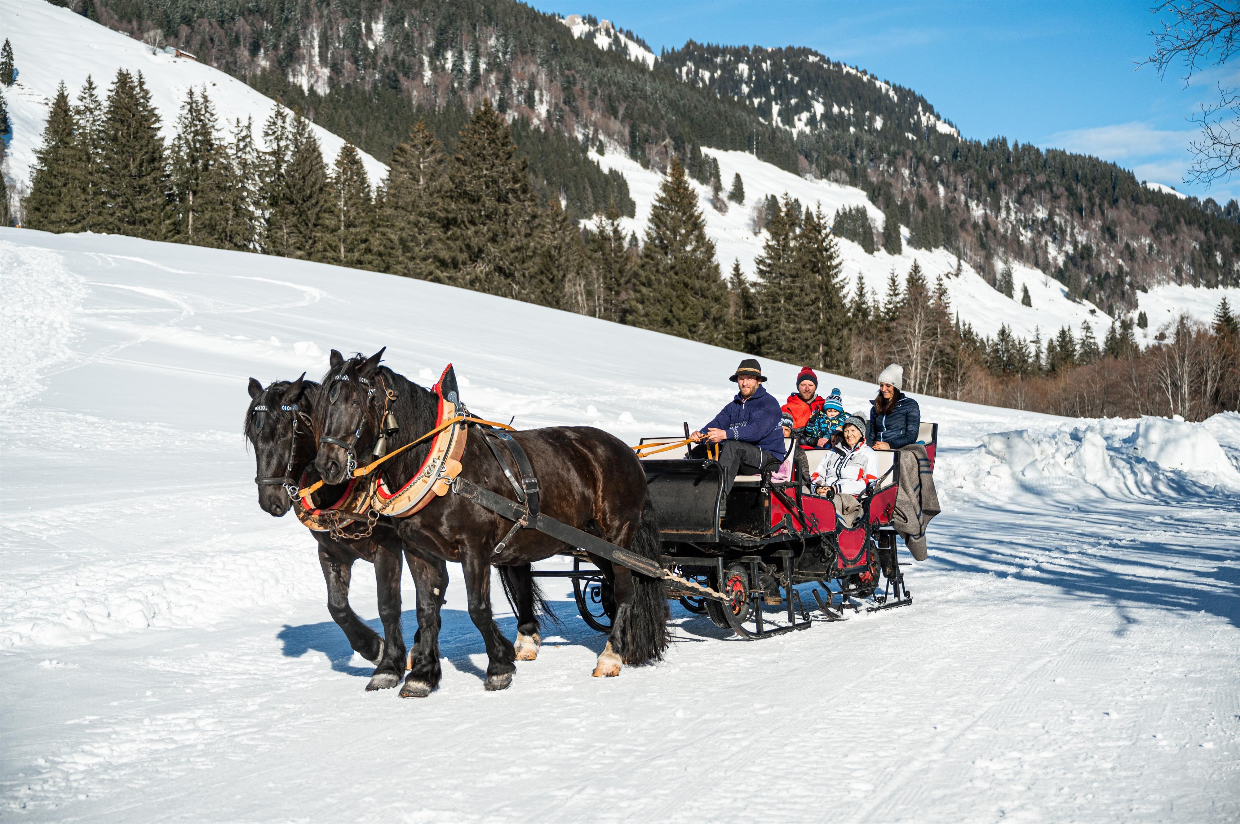 Winterliche Pferdekutschfahrt in Balderschwang