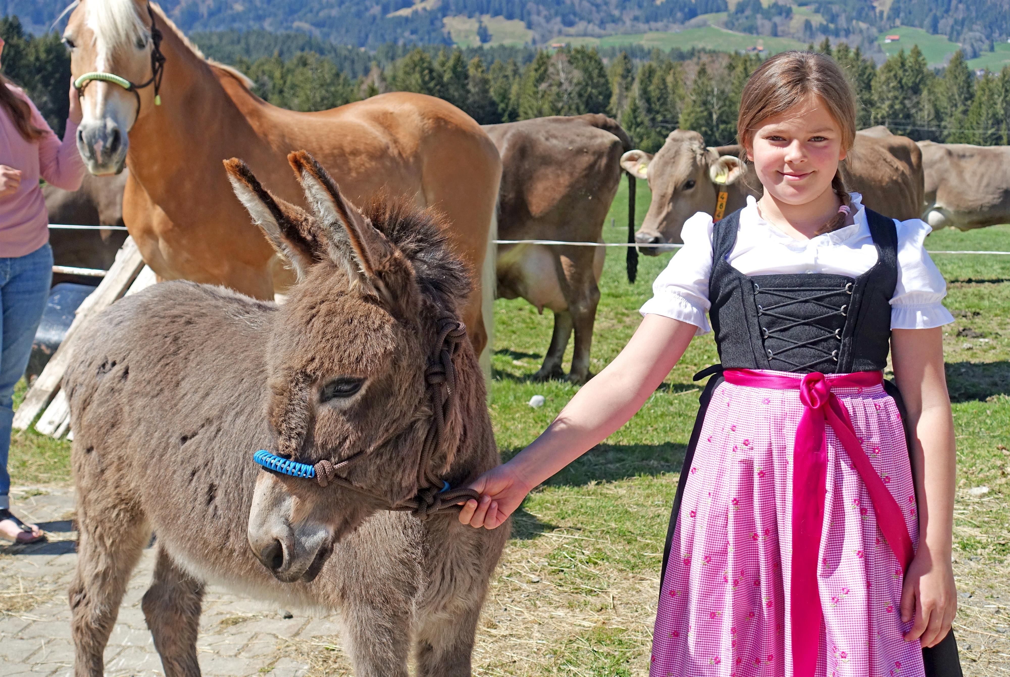 Eselpärchen Jockel und Jule