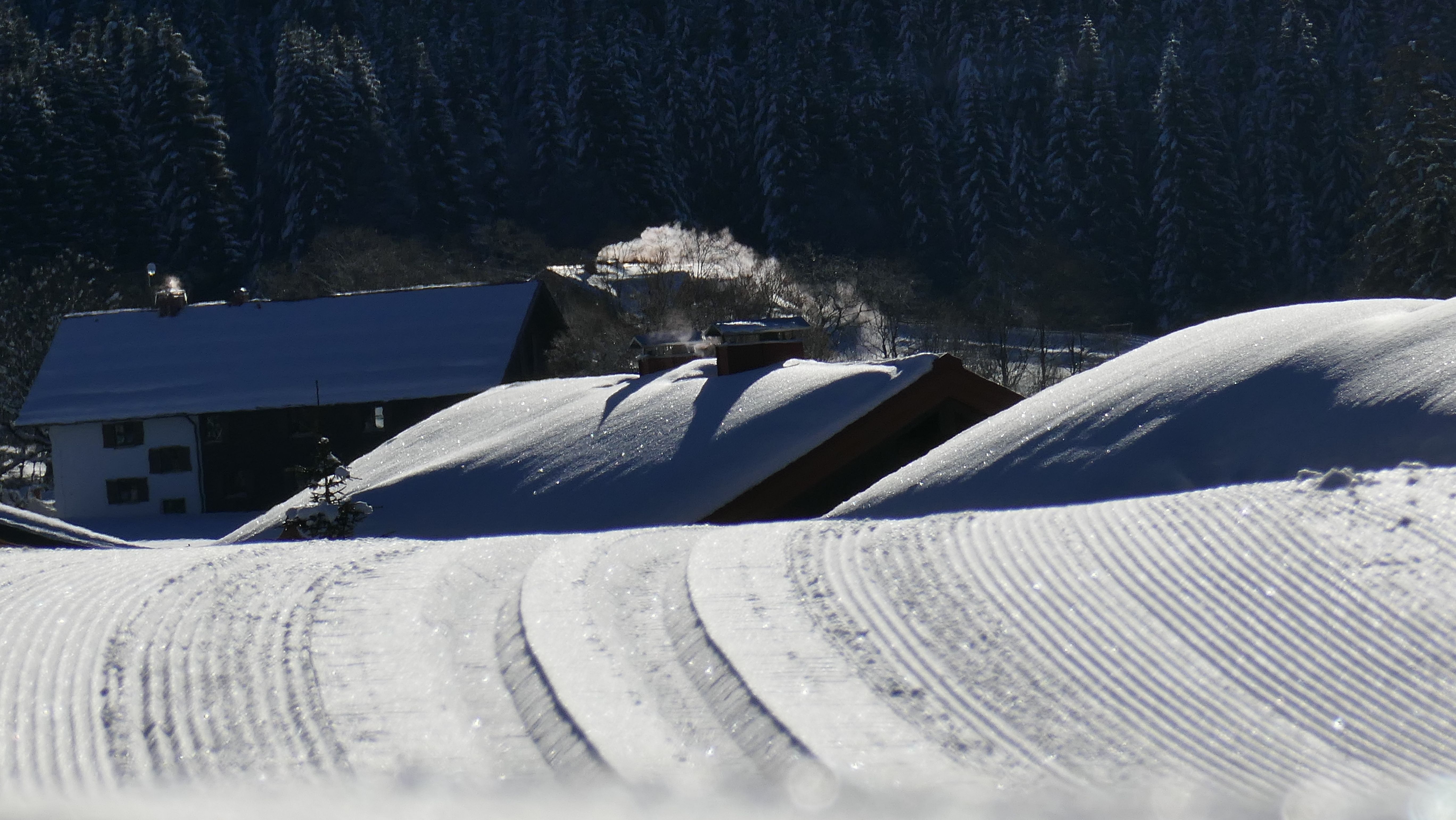 Loipe in Balderschwang