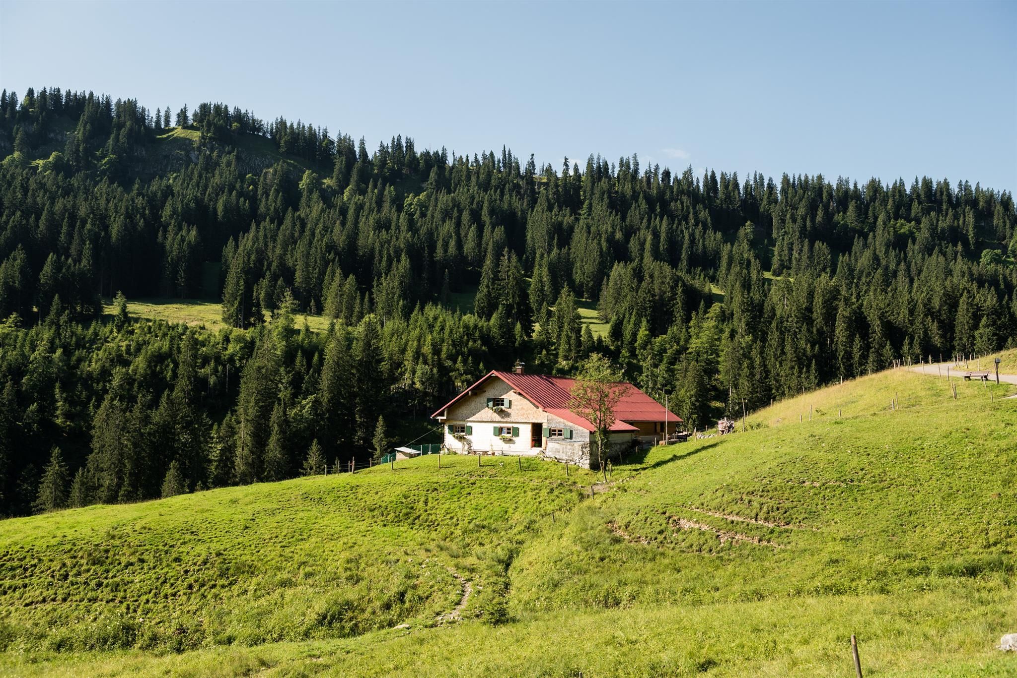 Lochbachtal mit der Schwabenalpe