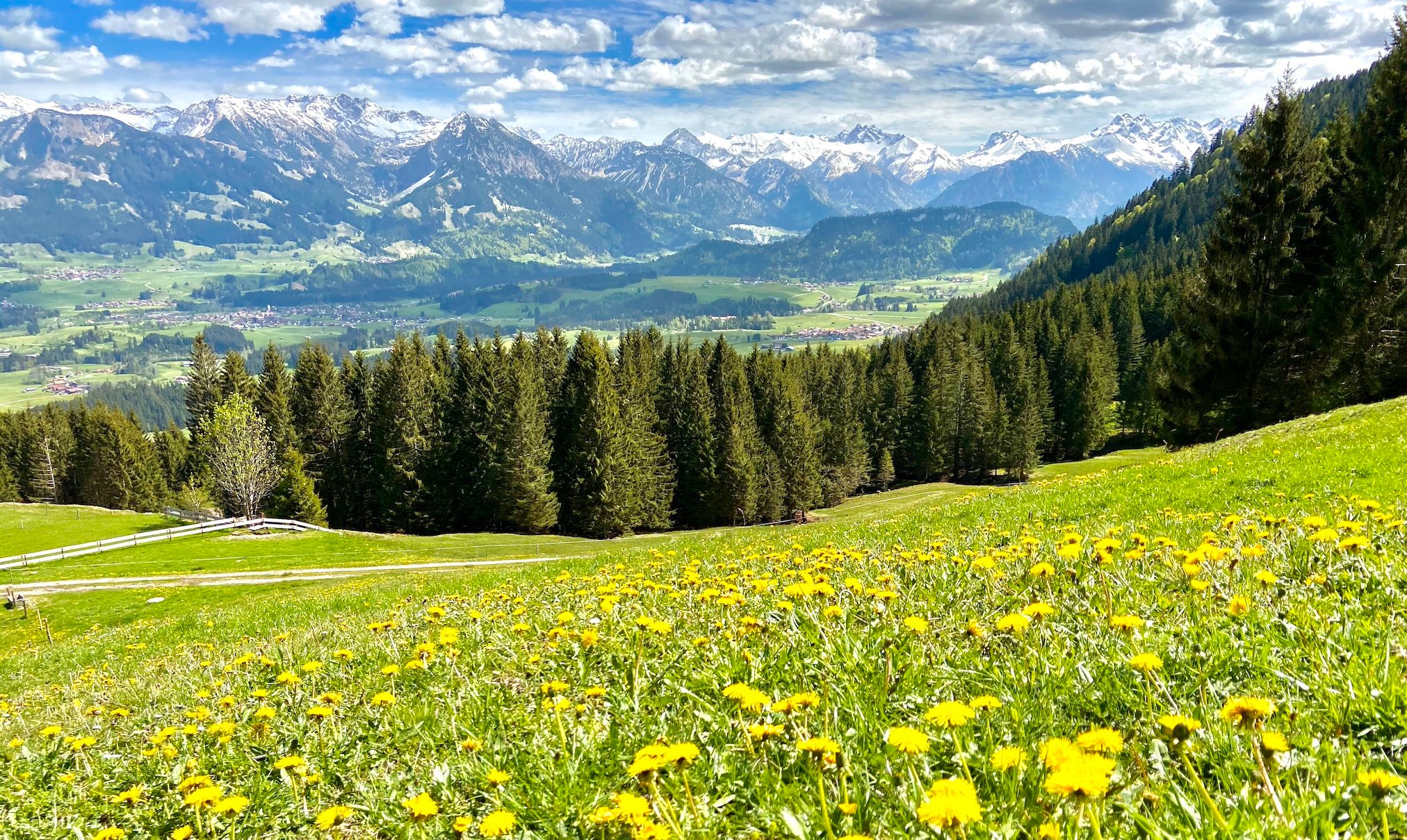 Blick auf Illertal und Allgäuer Hauptkamm