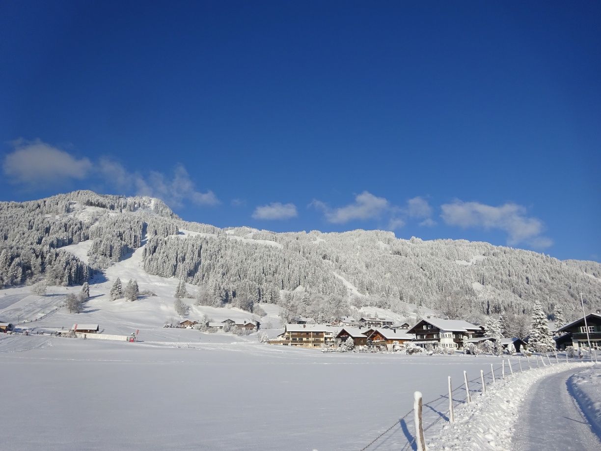 Bolsterlang im Schnee