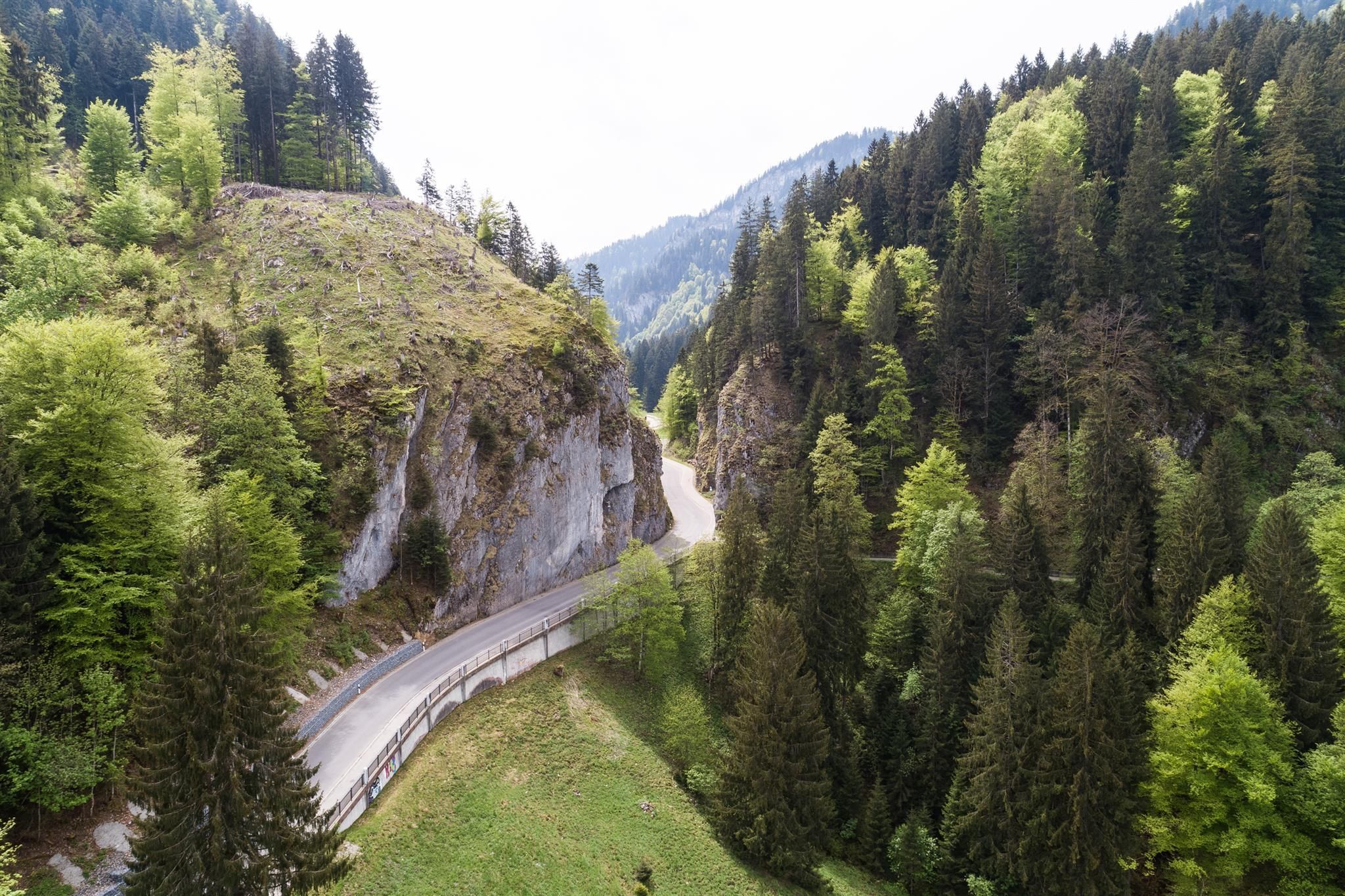 Hirschsprung bei Obermaiselstein