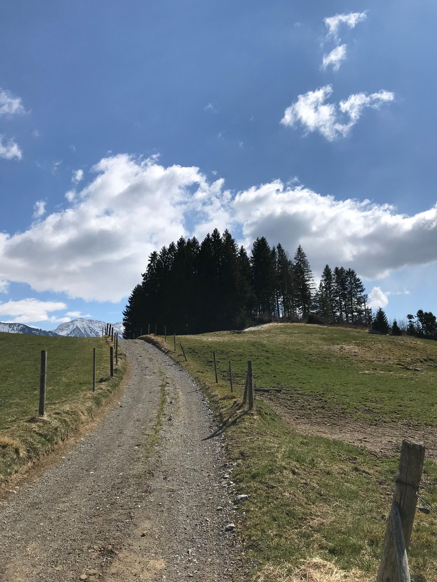 Feldweg bei Kierwang