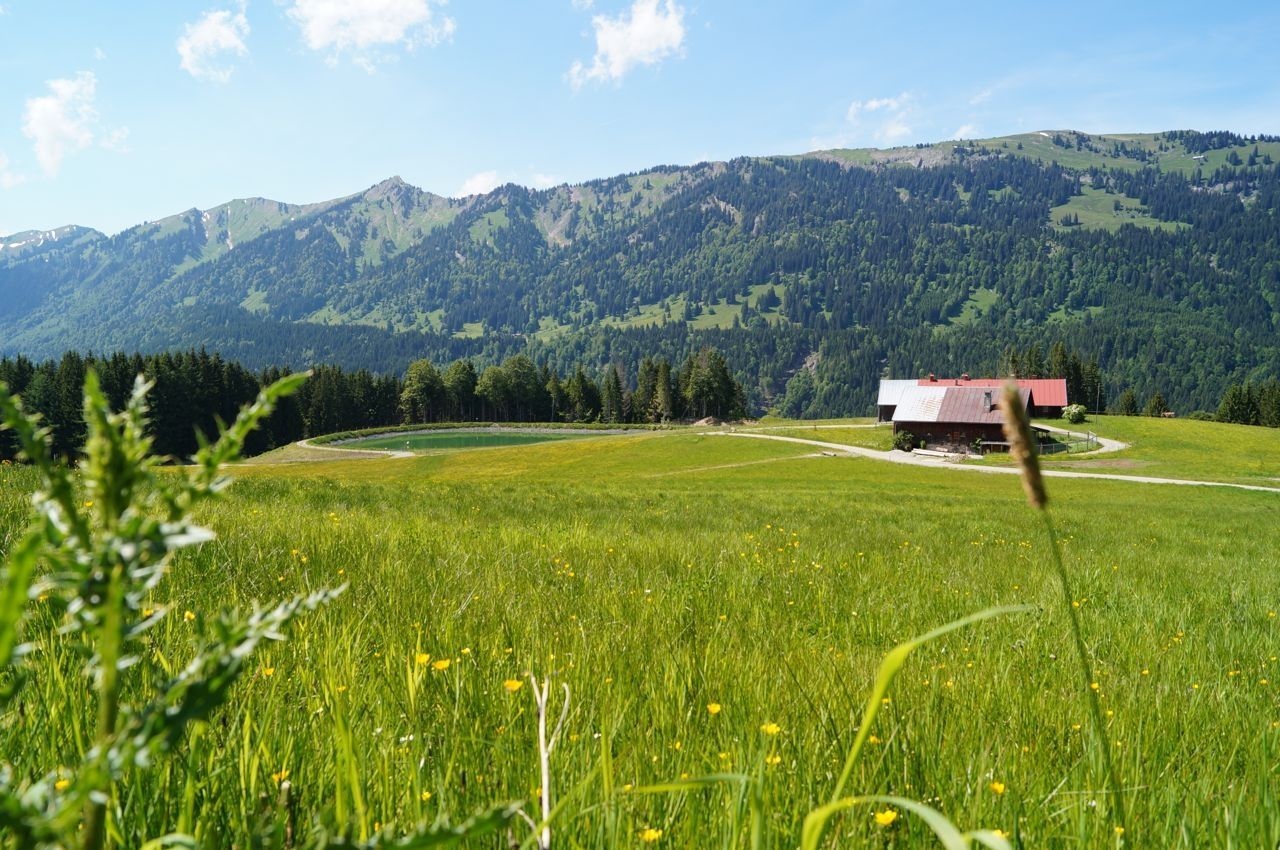 Gaisrücken - Märchenwiesen-Rundweg