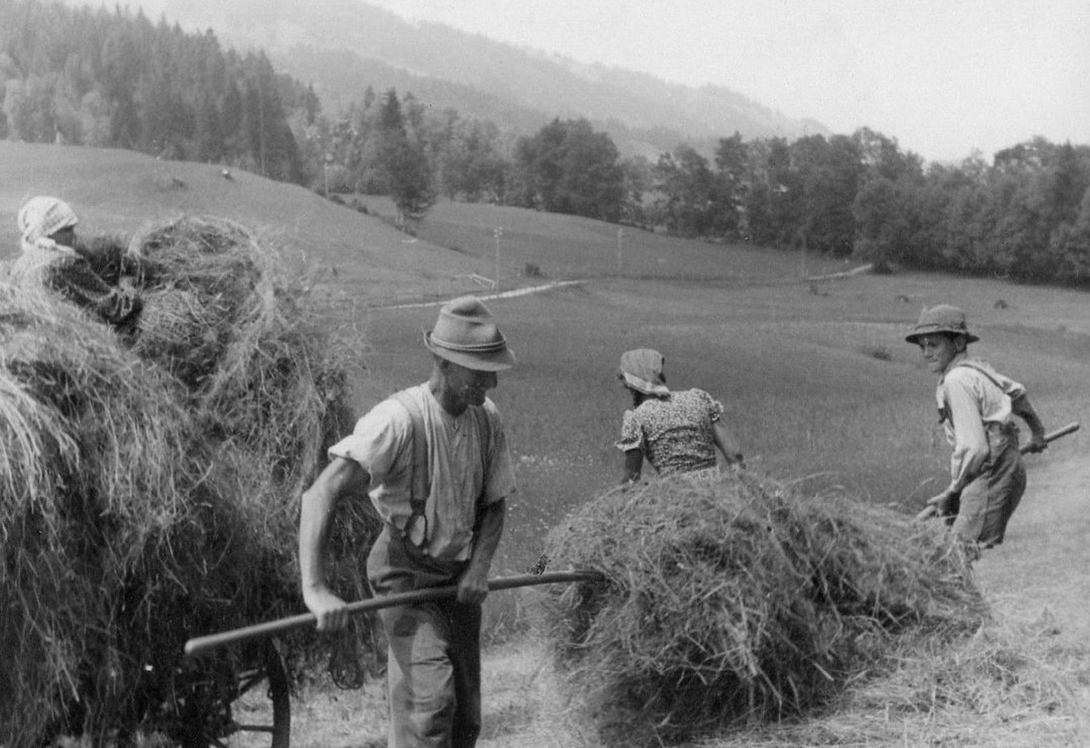 "Heuben" - Heuernte in Bolsterlang Anfang 1940