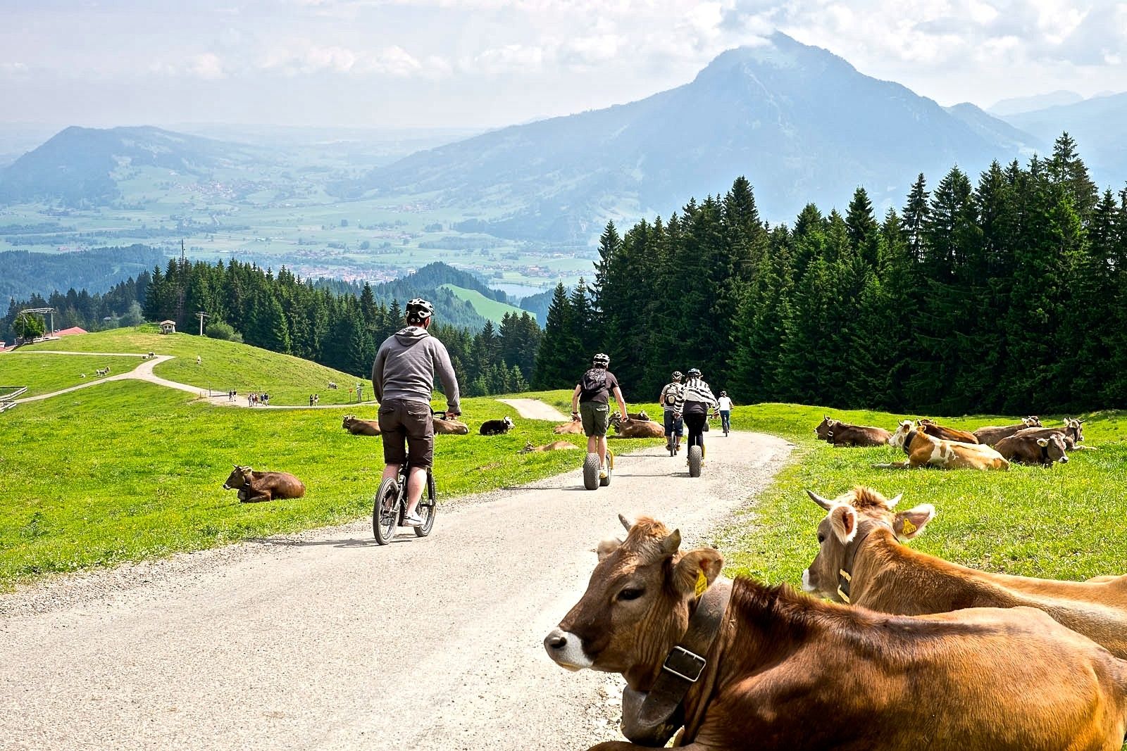 Rasante Fahrt ins Tal mit dem Downholl Roller