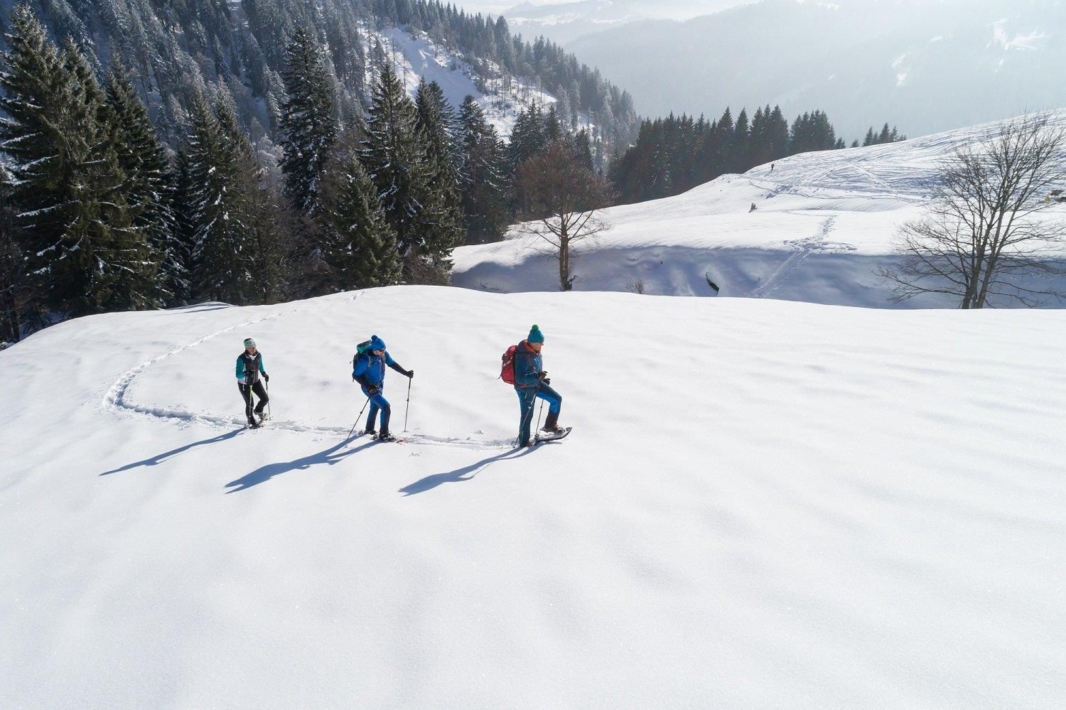 Schneeschuhwandern