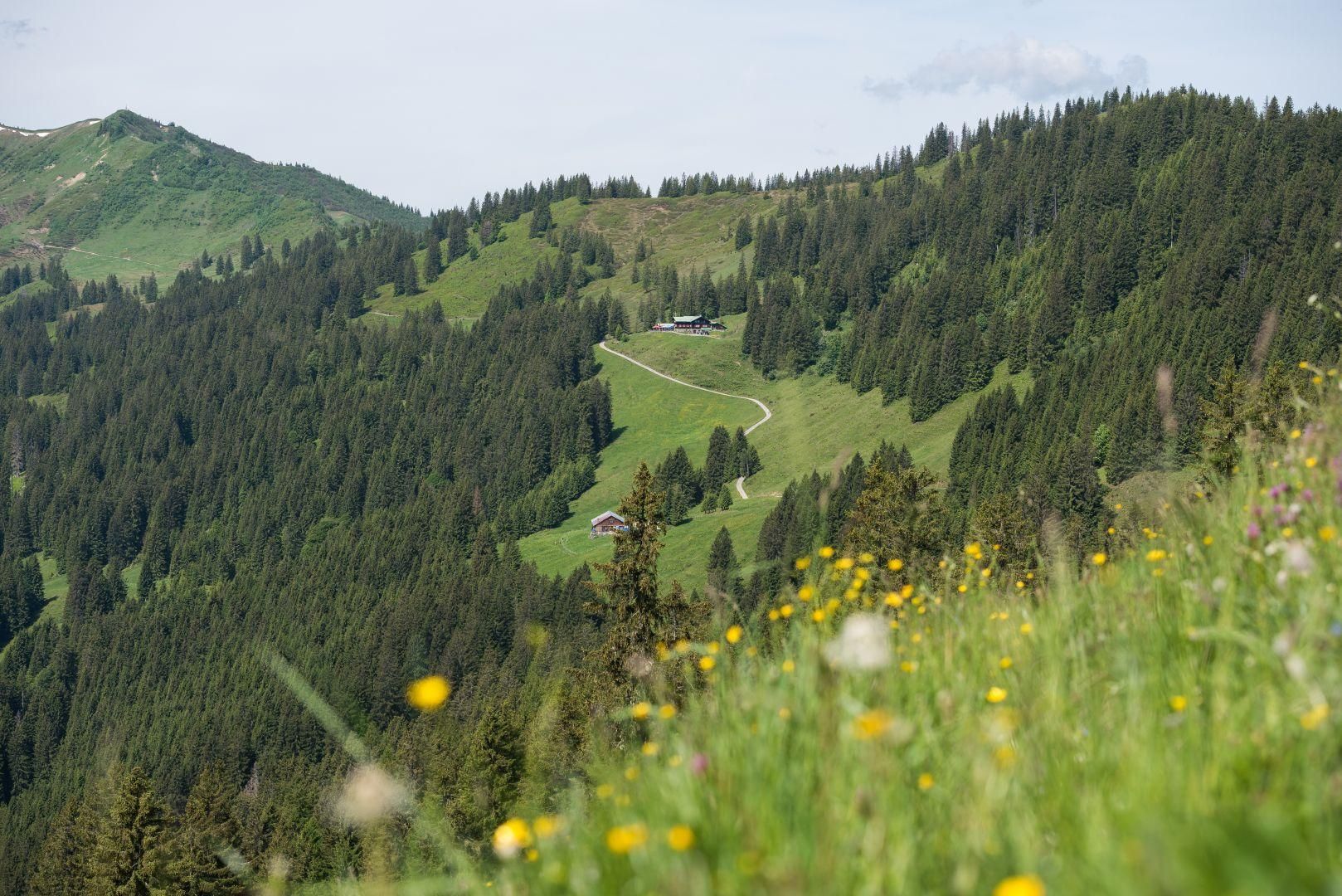 Berghaus Schwaben - Bolsterlang