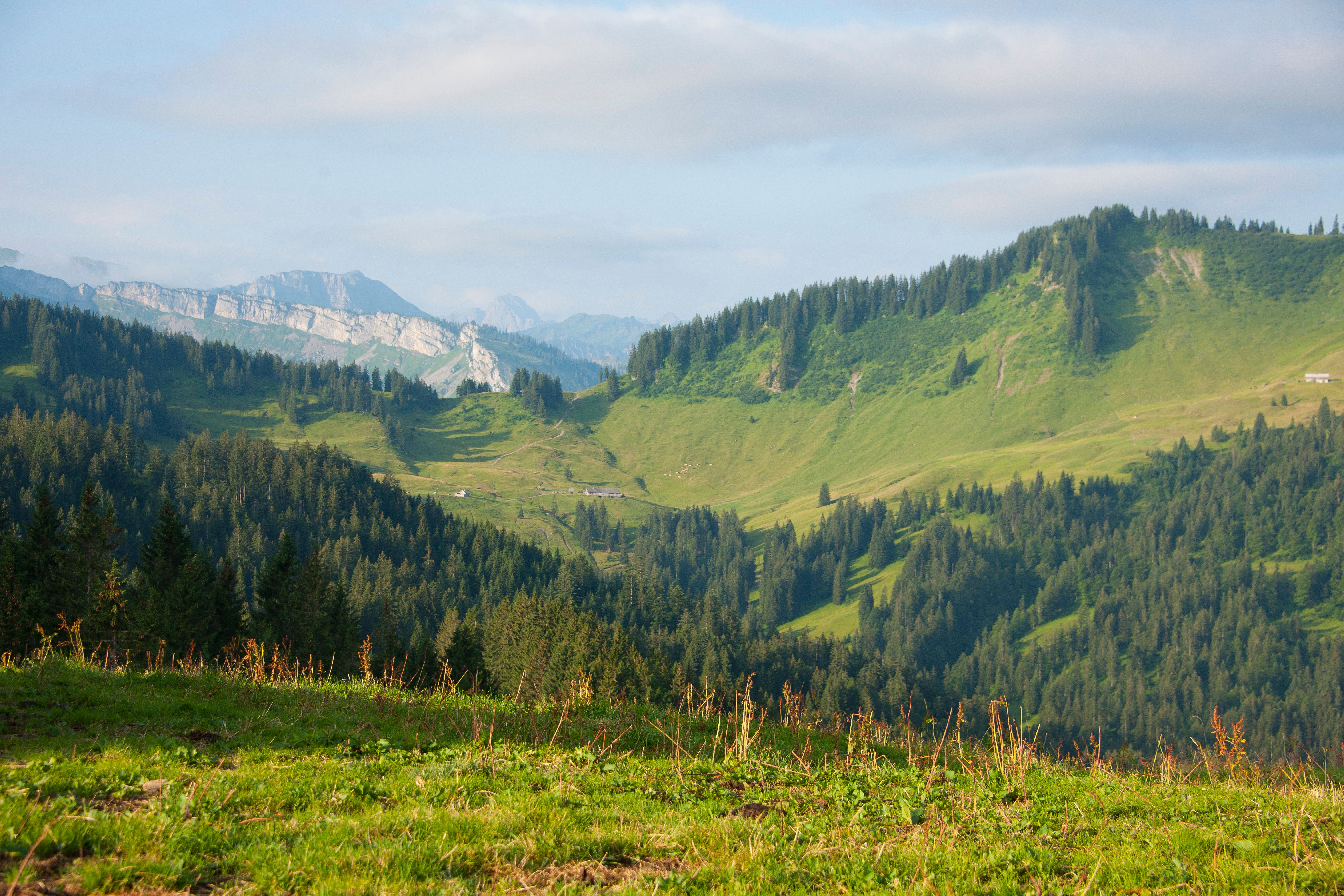 Am Gelbhansekopf in Balderschwang