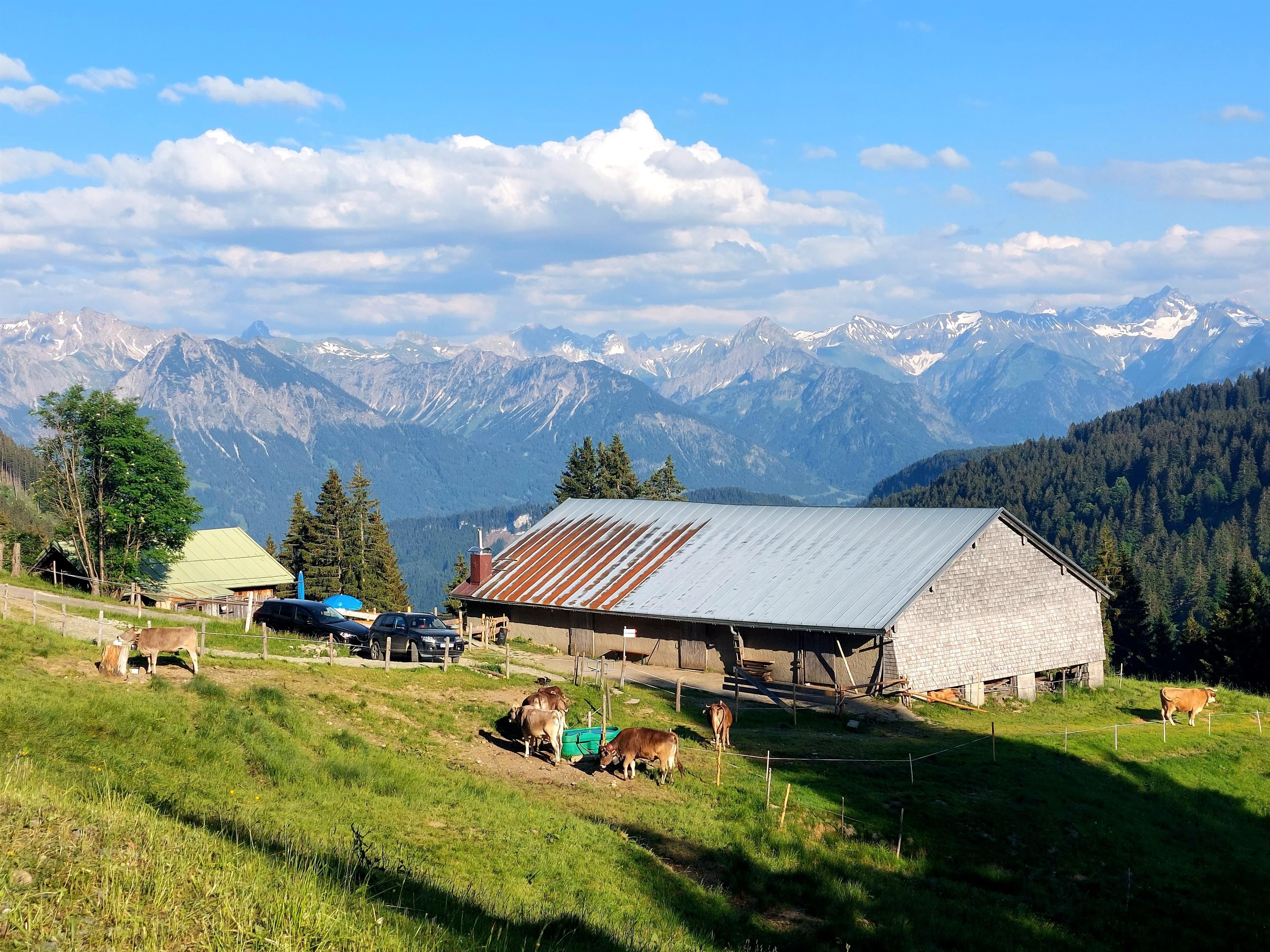 Alpe Hinteregg bei Bolsterlang