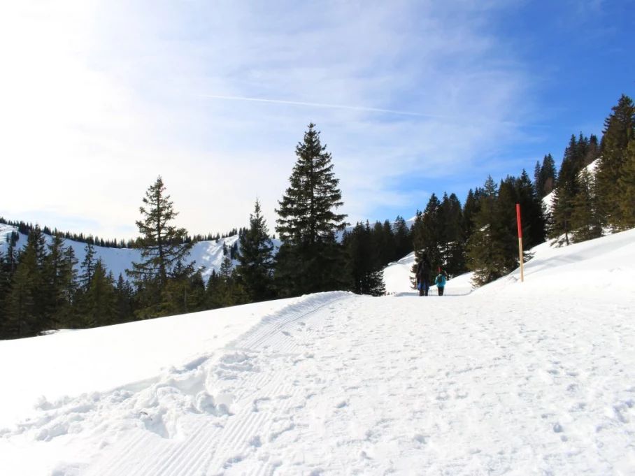 Sonniger Winterwanderweg in Bolsterlang - Hörnerdörfer im Allgäu