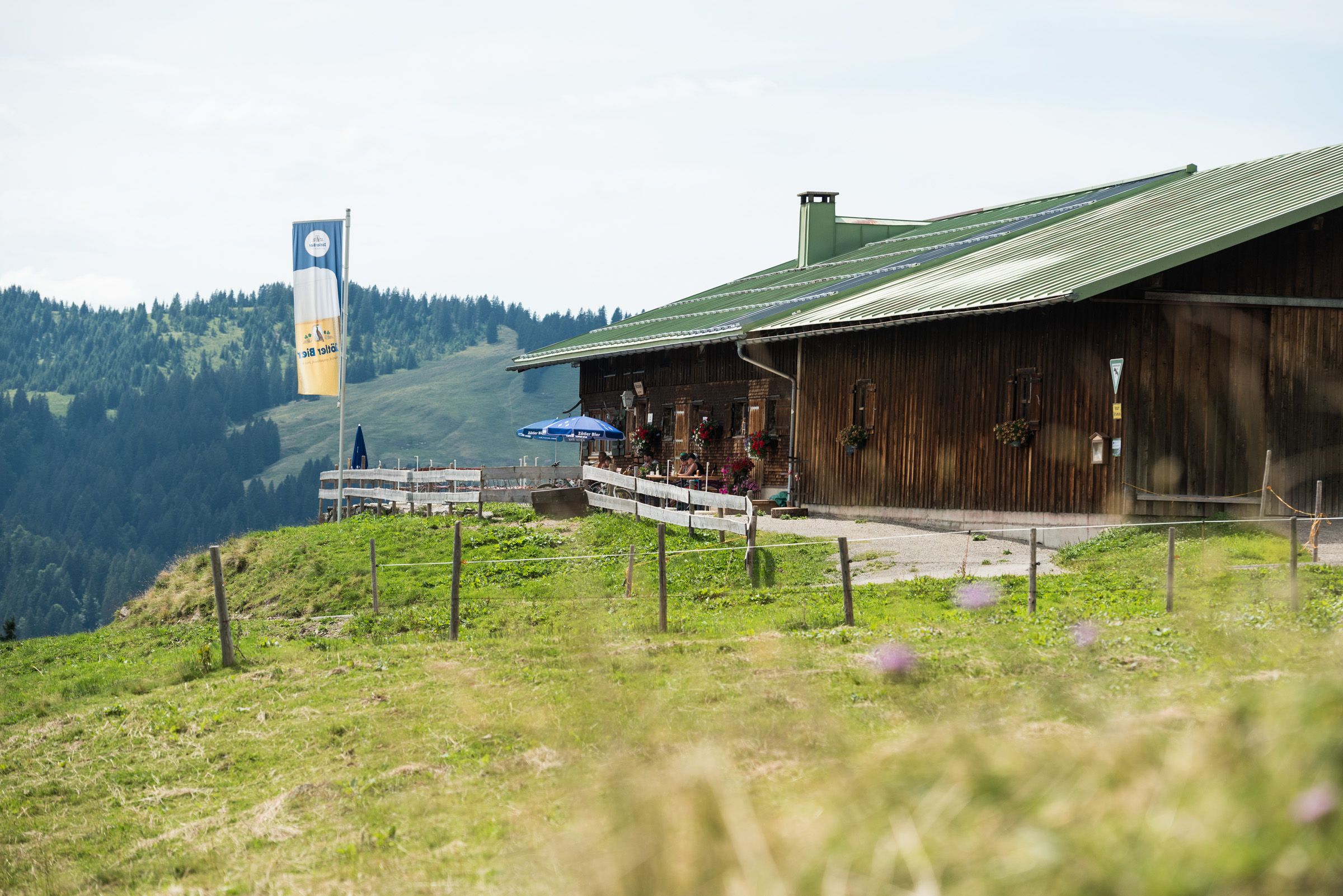 Mittelalpe im Sommer