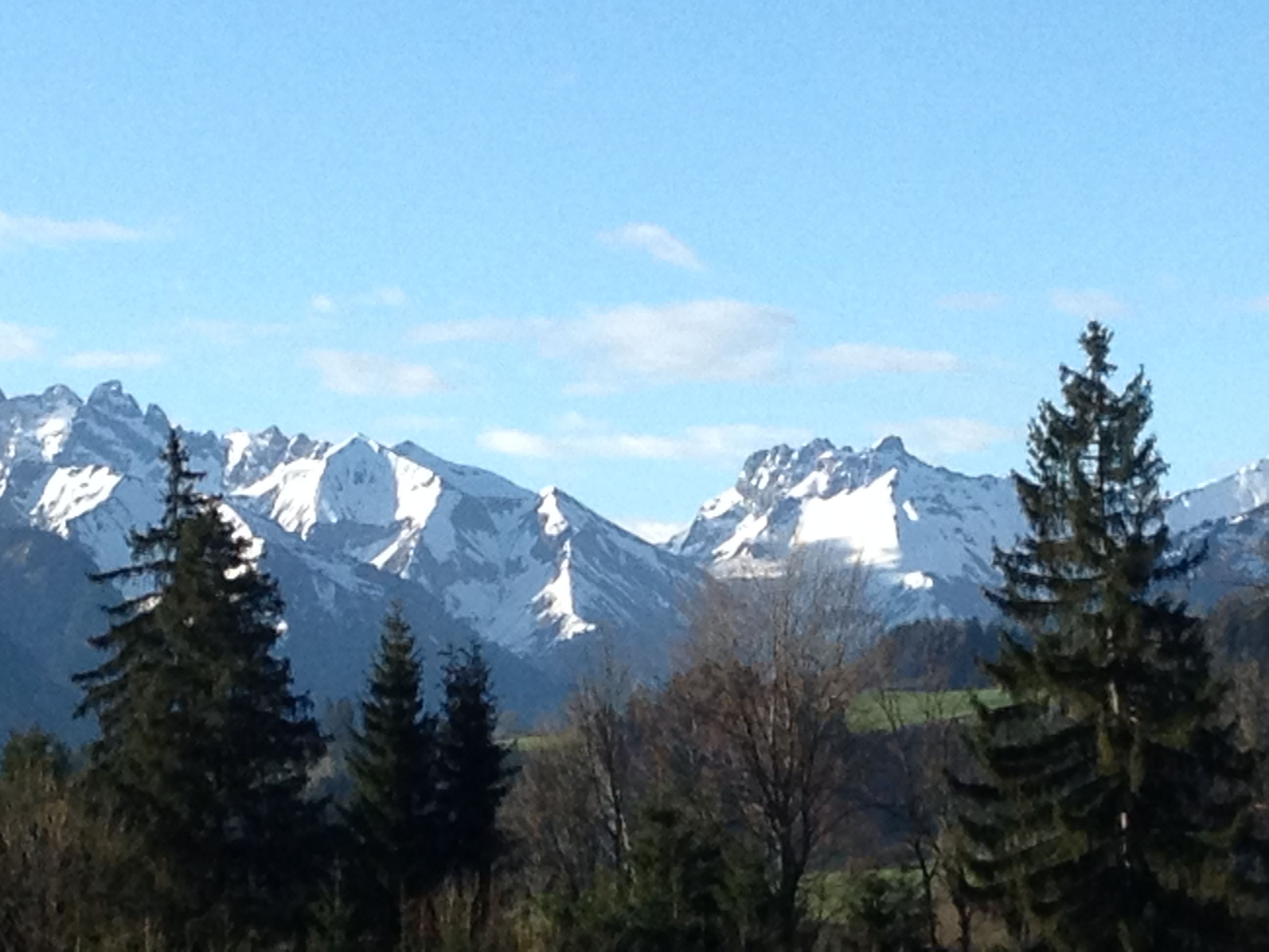 Aussicht von Untermühlegg auf den Allgäuer Hauptkamm