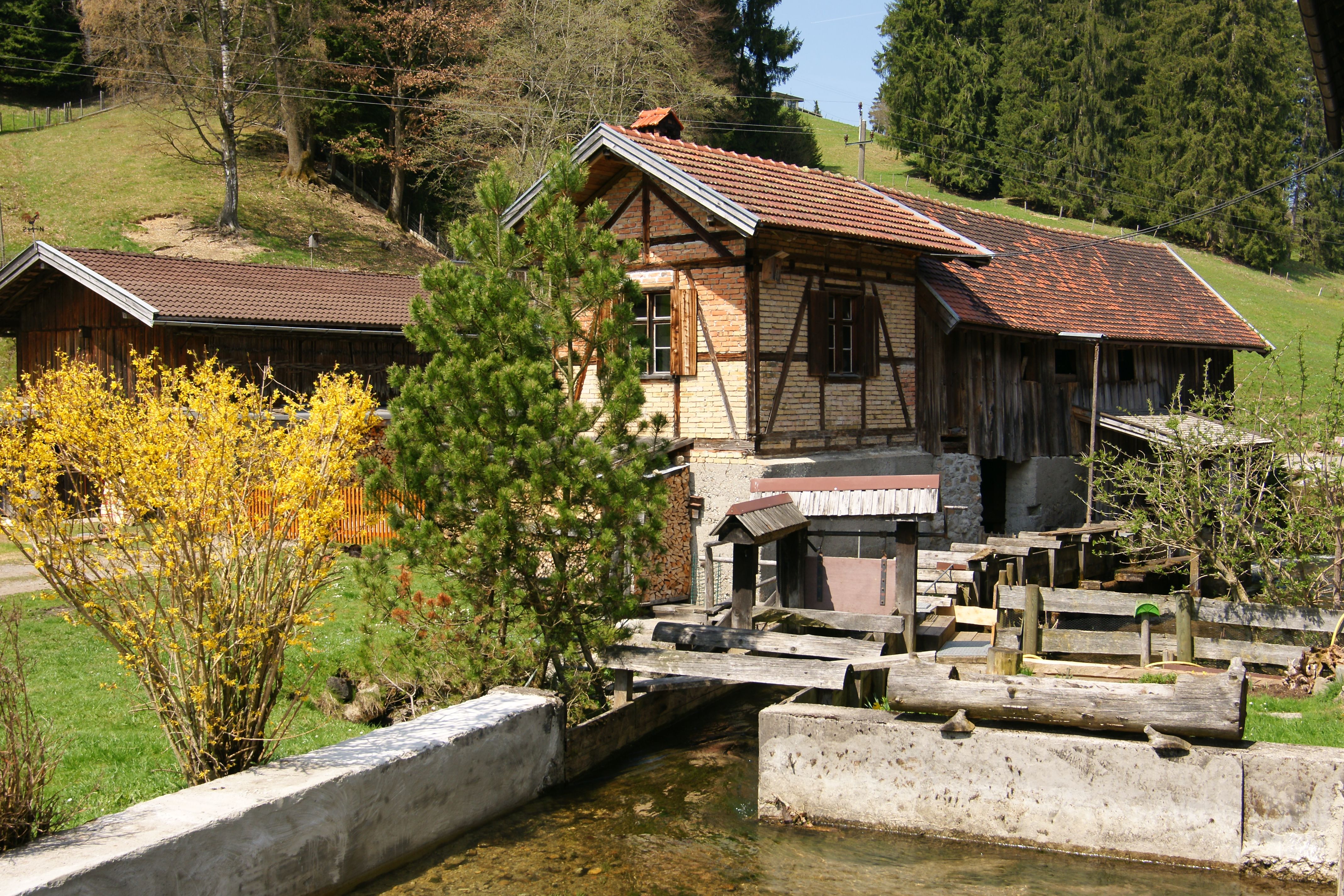 Historische Obermühle Säge bei Fischen im Allgäu