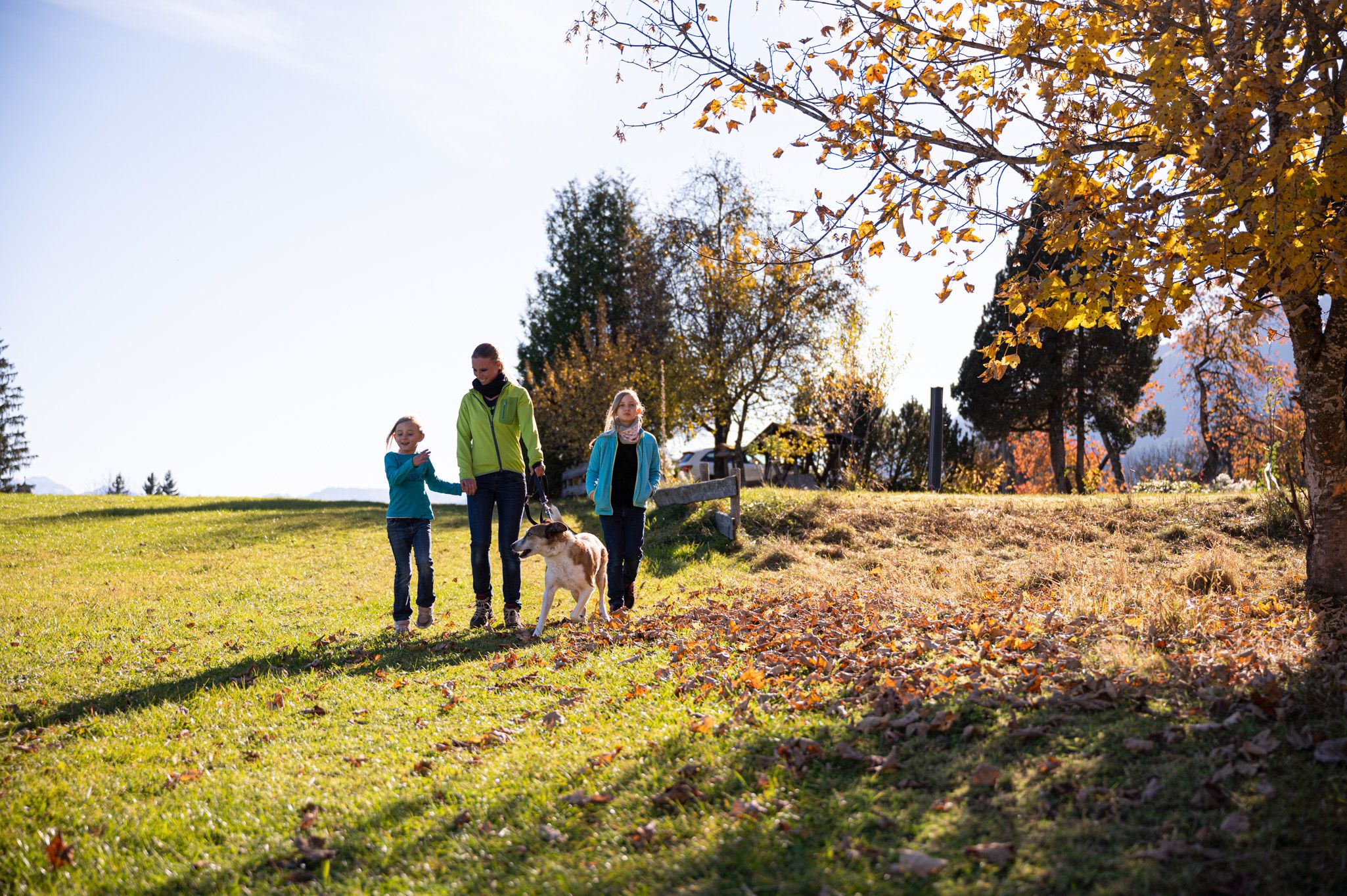 Herbstwanderung mit Hund in Ofterschwang im Allgäu