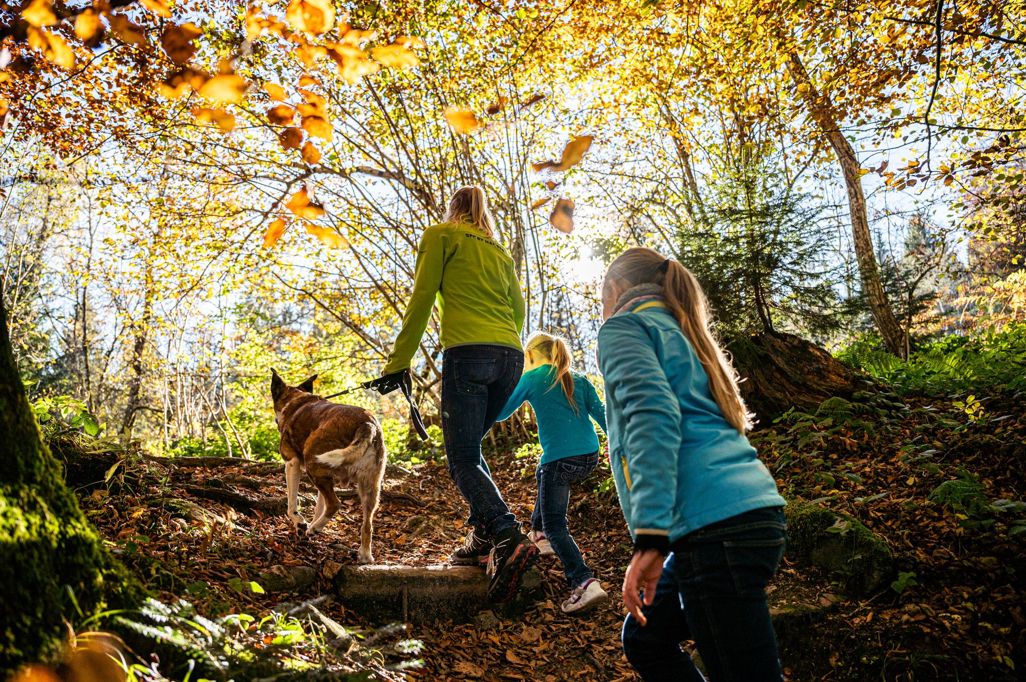 Wandern im Herbst mit Hund in Ofterschwang im Allgäu