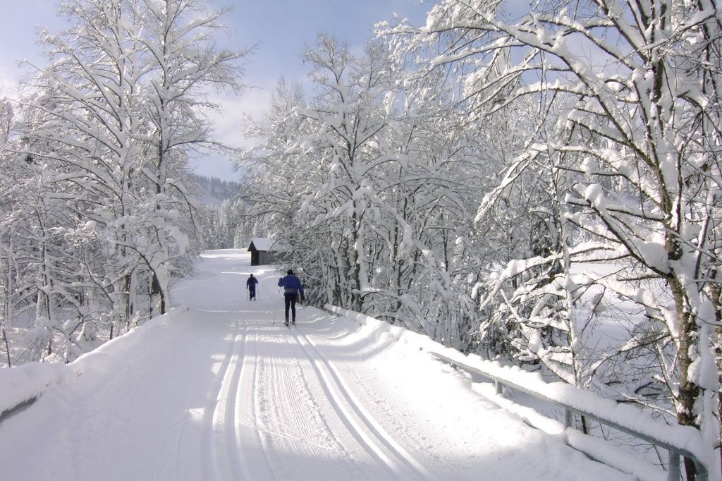 Loipe in Balderschwang