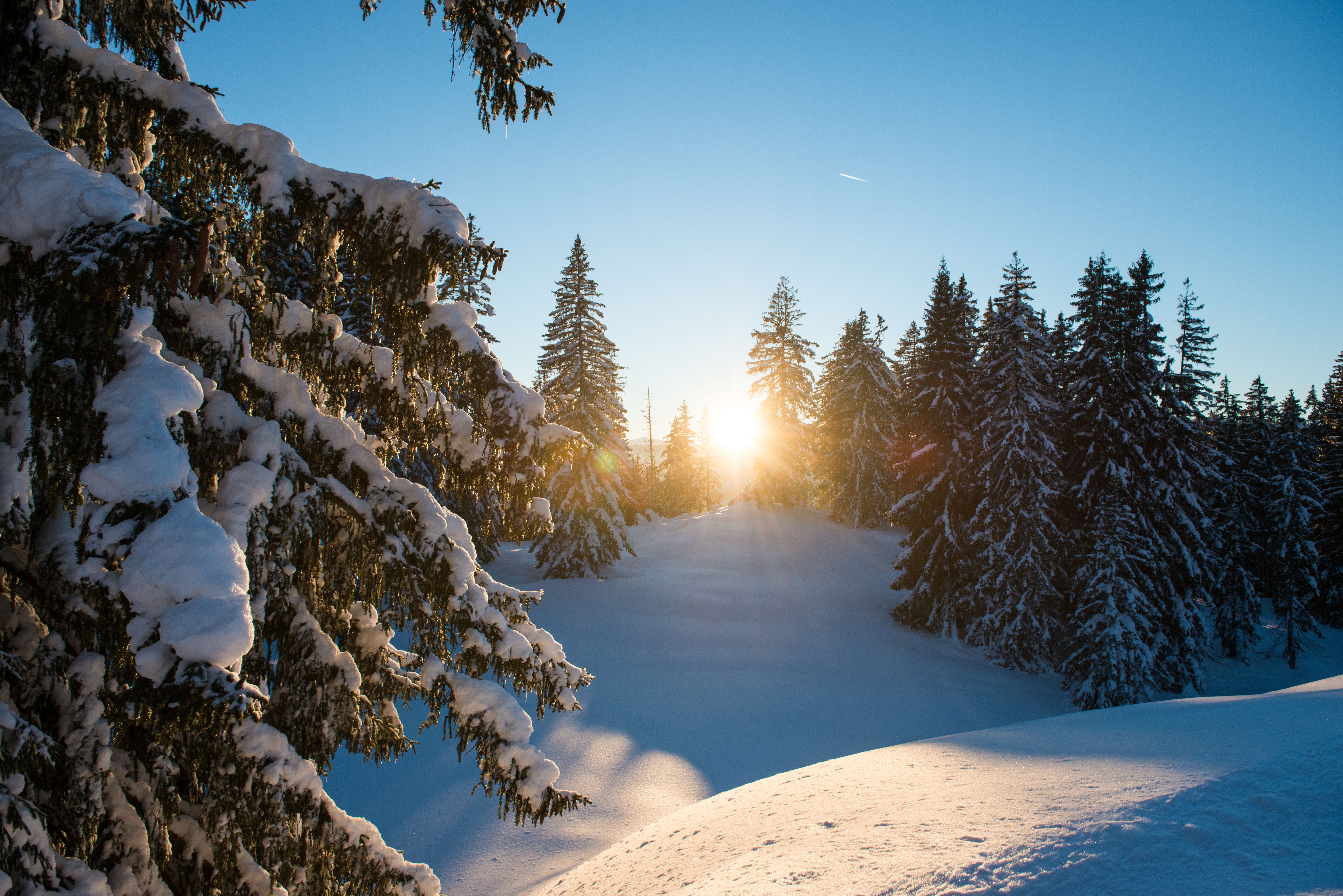 Ob mit Ski oder Schneeschuh, Winteridylle in Grasgehren genießen - Hörnerdörfer im Allgäu