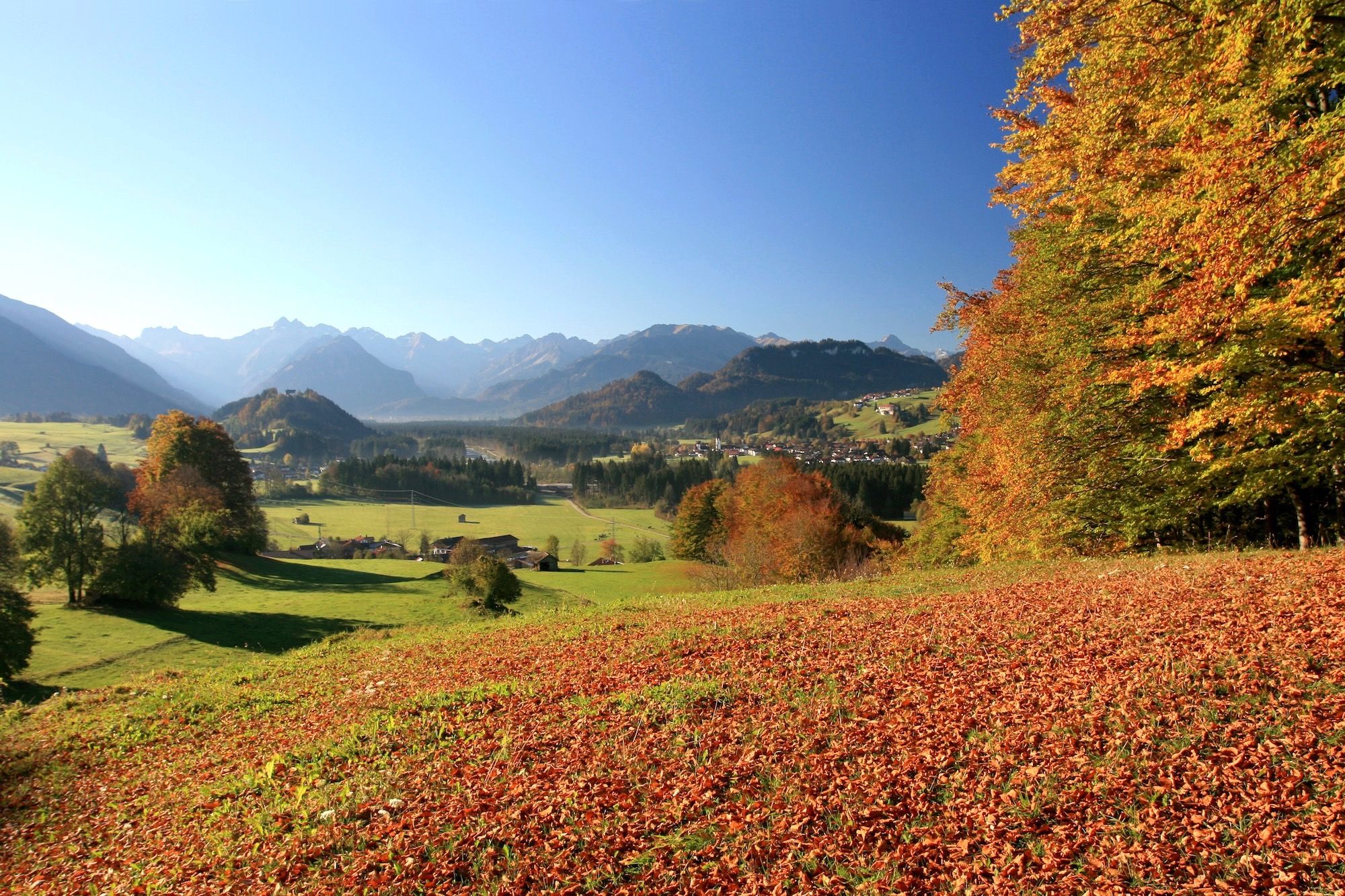 Traumhafter Ausblick im Herbst bei Fischen auf die Allgäuer Alpen