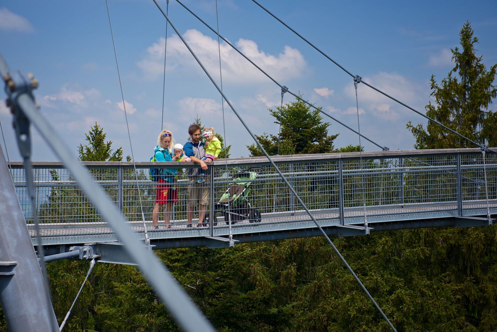 Die Baumwipfel von oben bestaunen 