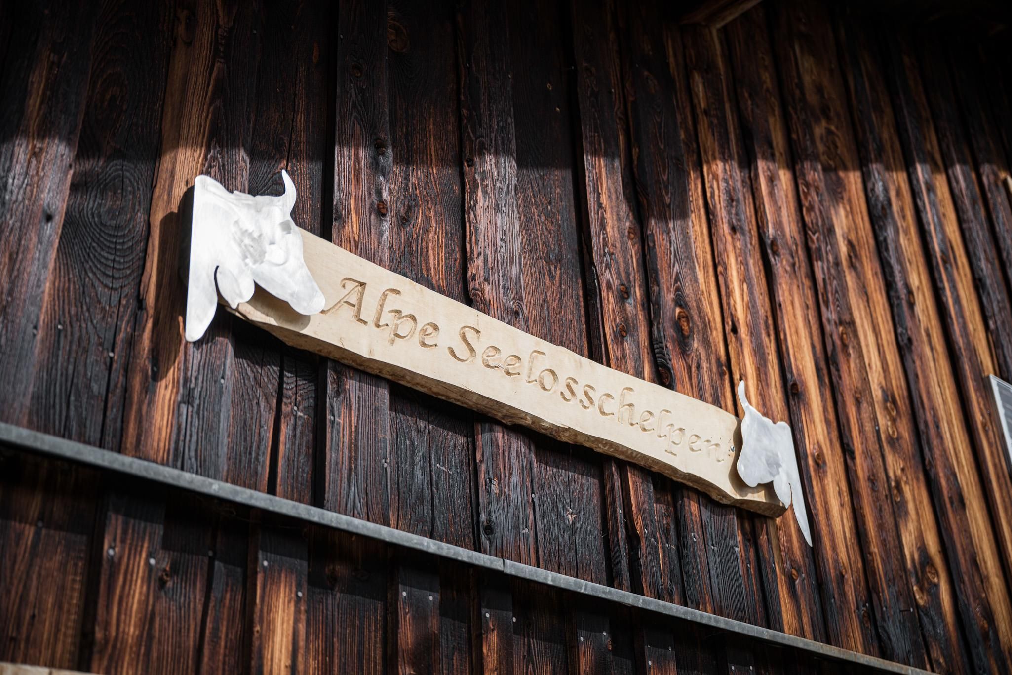 Alpe Seelossschelpen Sommer