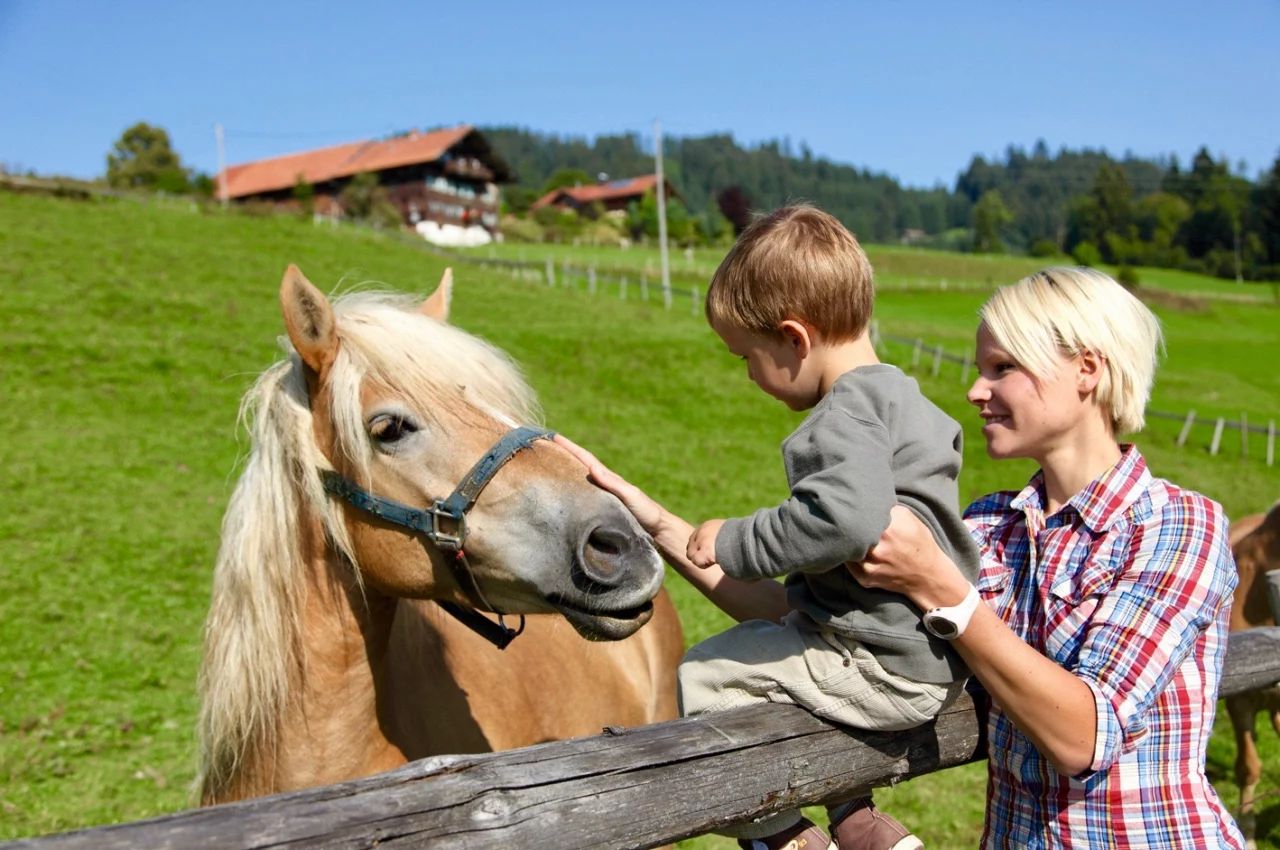 Bauernhofurlaub für Familien, Pferde auf Koppel streicheln - Hörnerdörfer im Allgäu