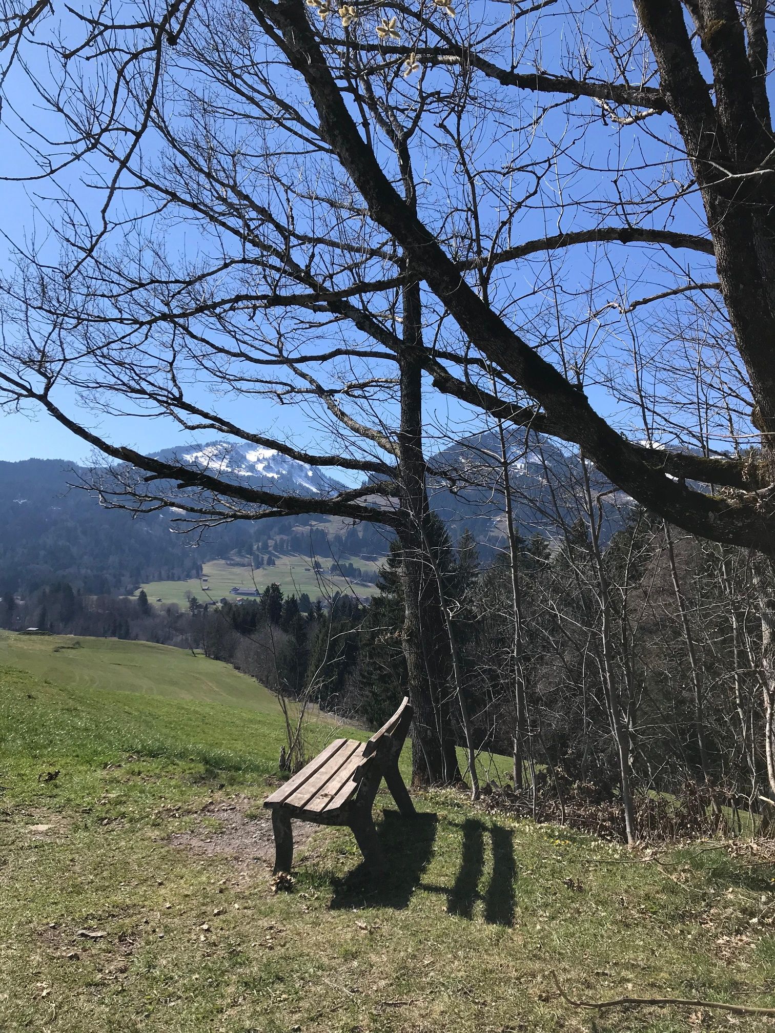 Ruhebank mit Blick nach Bolsterlang