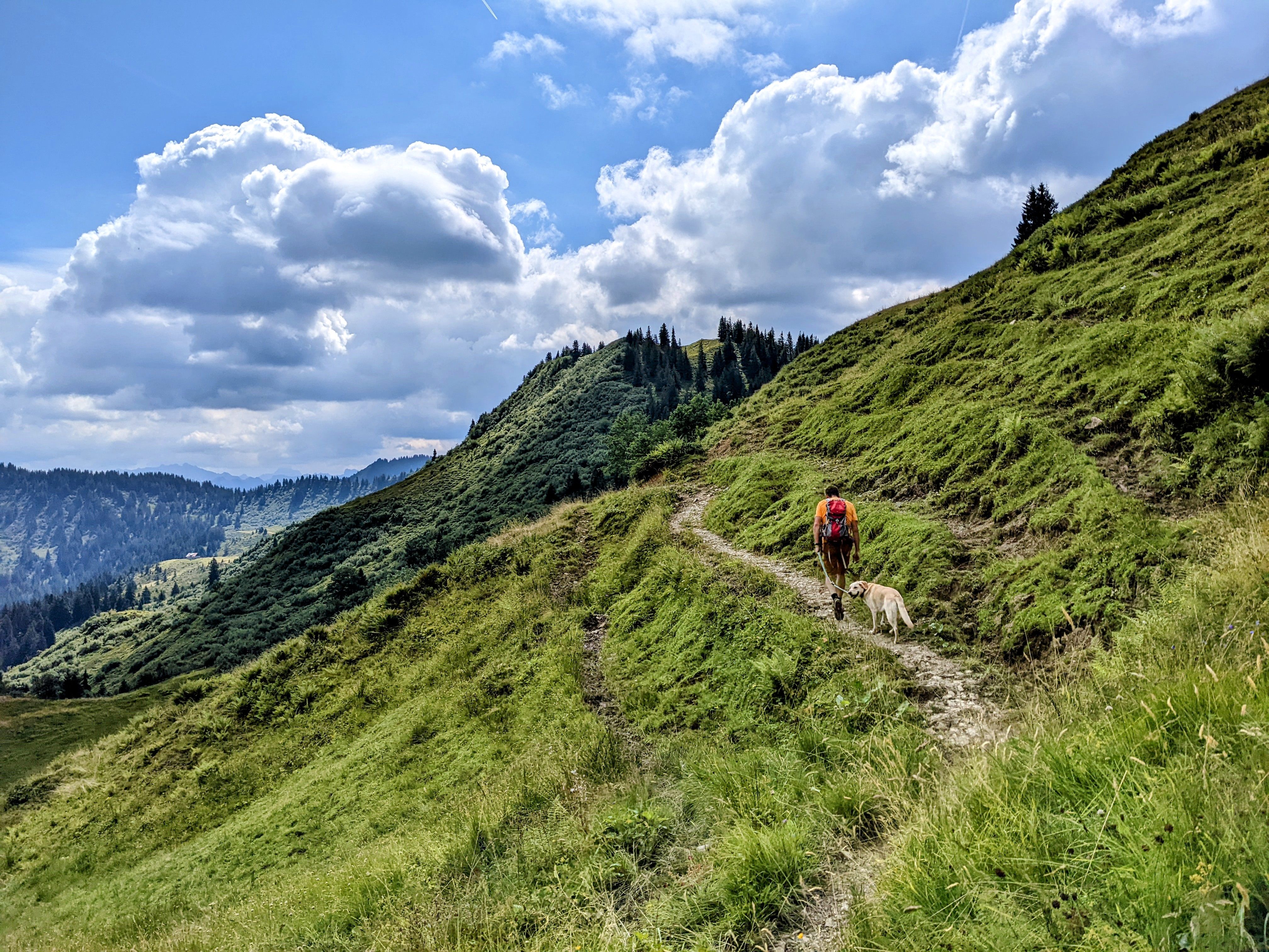 Wandern mit Hund in den Allgäuer Bergen