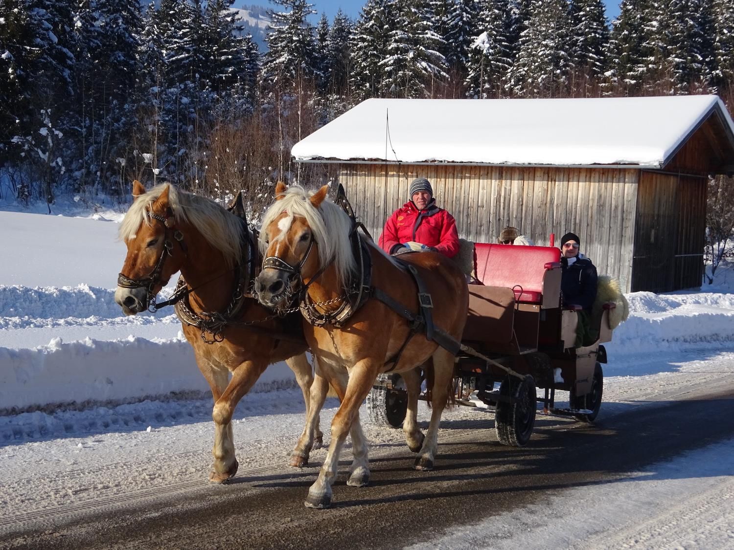 Pferdekutschfahrt rund um Bolsterlang