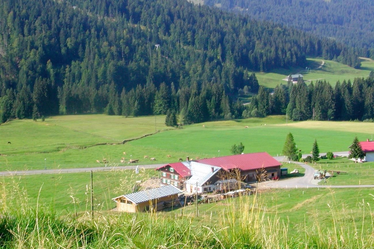 Alpe Unterbalderschwang