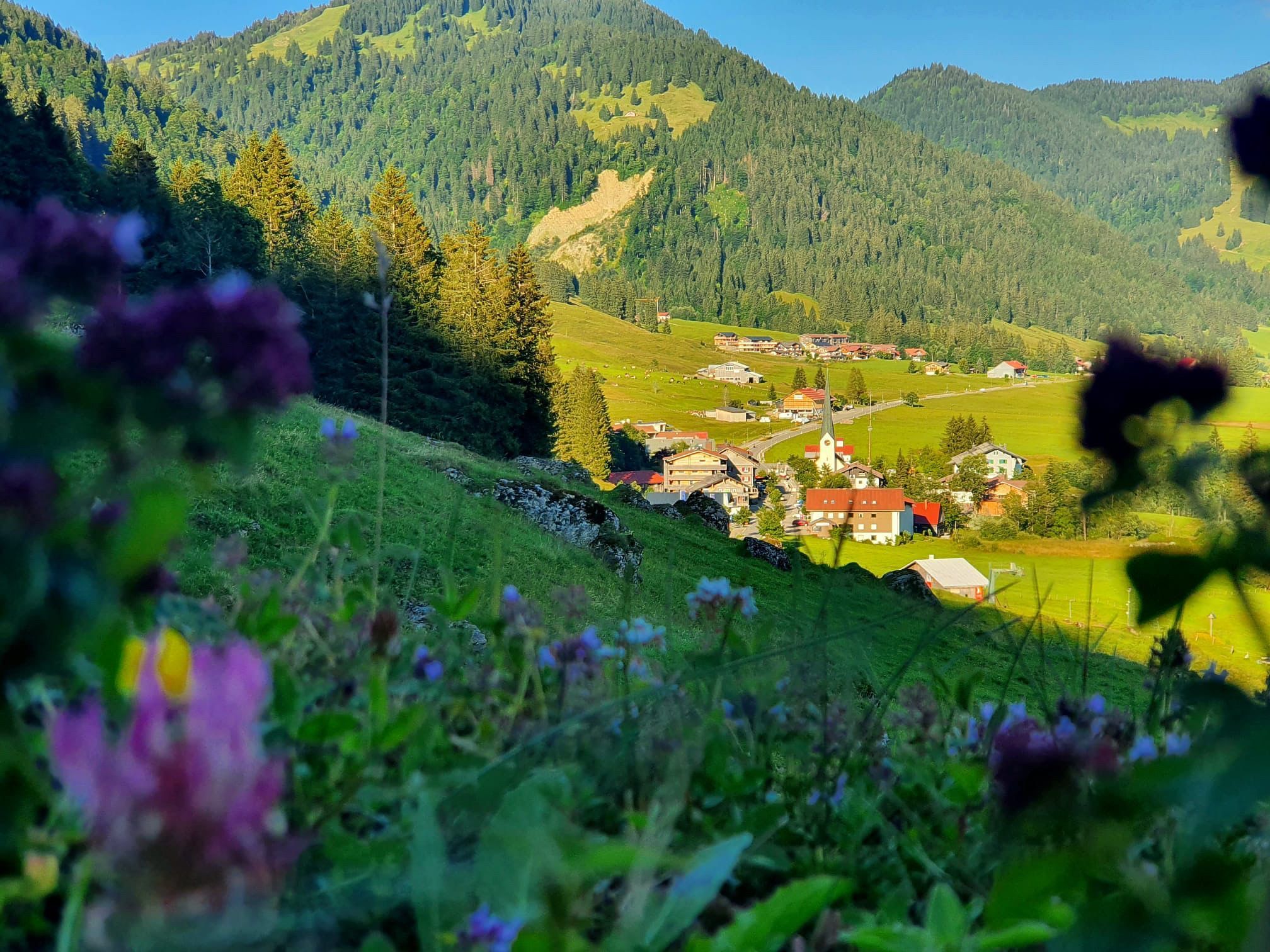 Morgentlicher Blick auf Balderschwang im Sommer - Hörnerdörfer im Allgäu