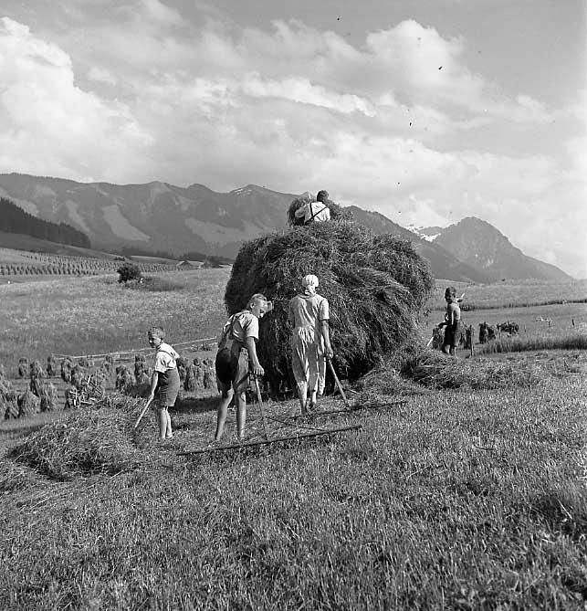 Heuernte mit der ganzen Familie 1939