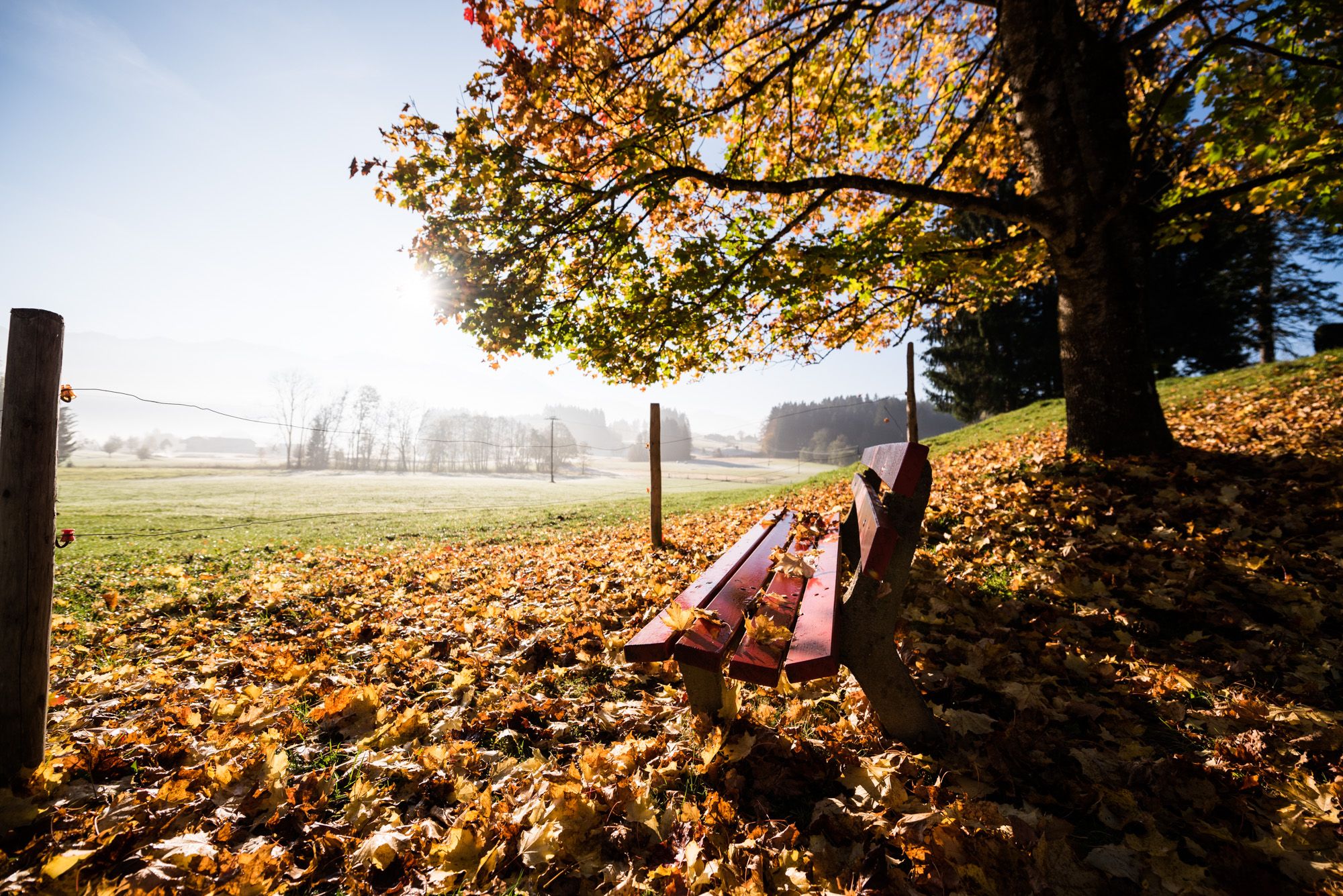 Herbstlandschaft mit Ruhebank - Hörnerdörfer im Allgäu