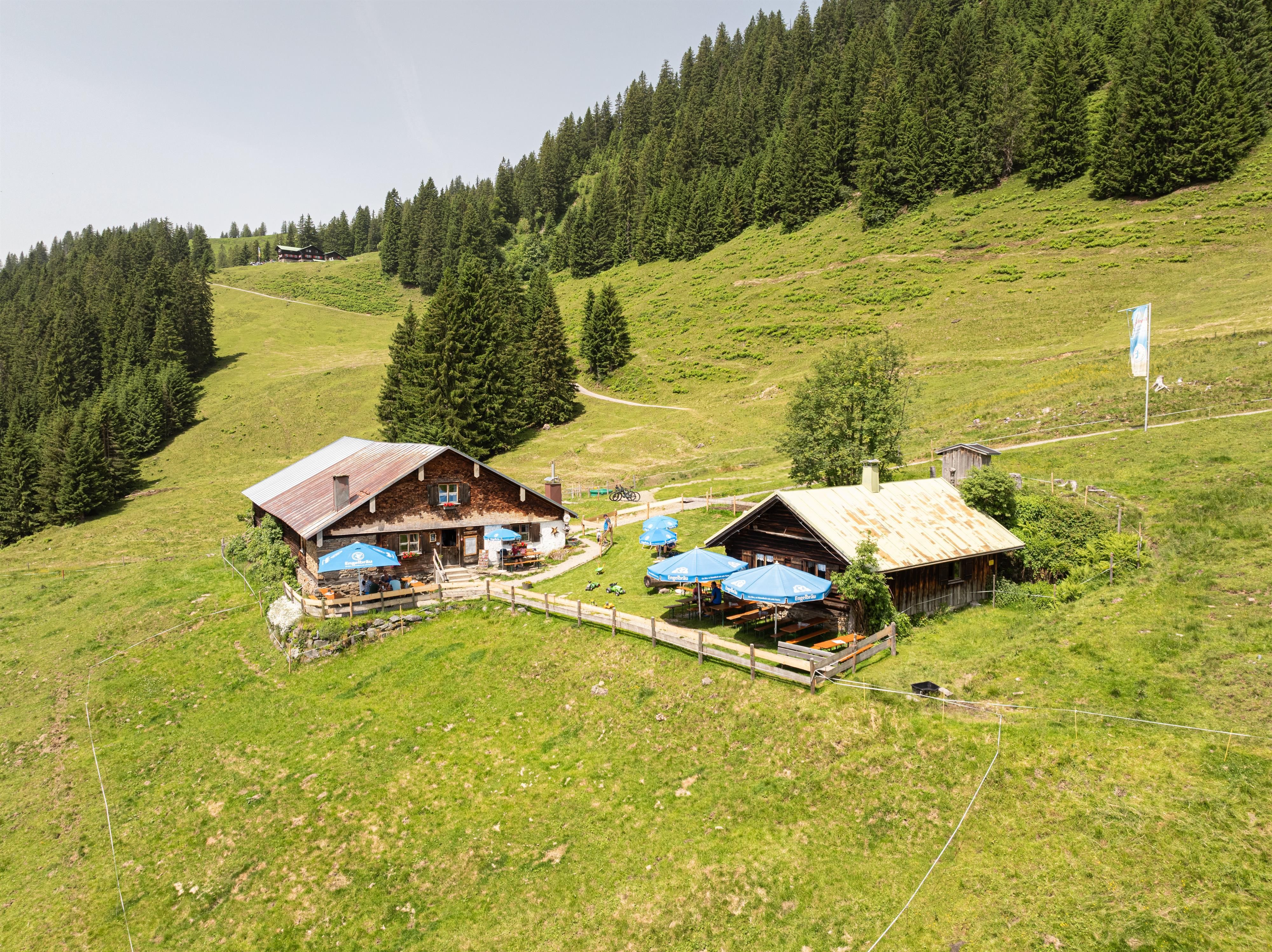 Alpe Hinteregg in Bolsterlang