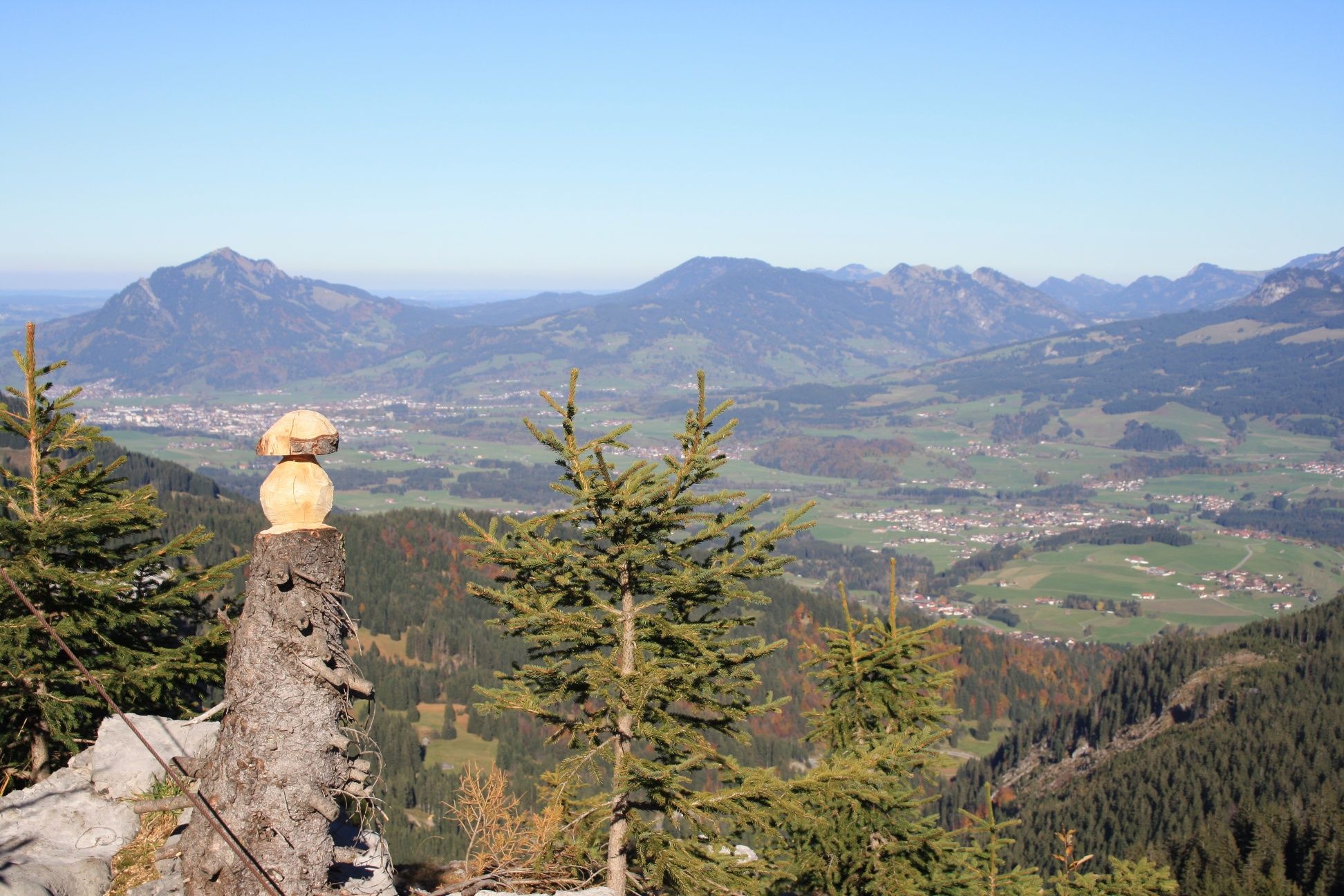 Blick auf einen geschnitzten Pilz auf dem Besler