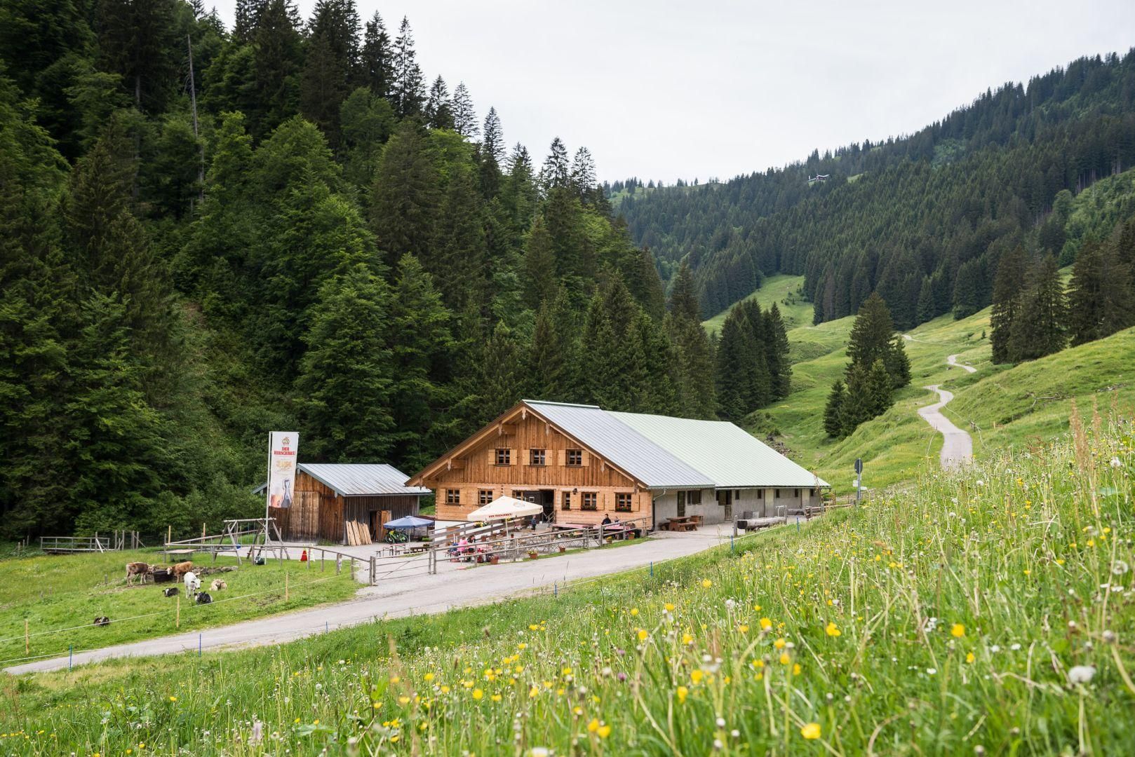 Die Alpe Zunkleiten bei Bolsterlang