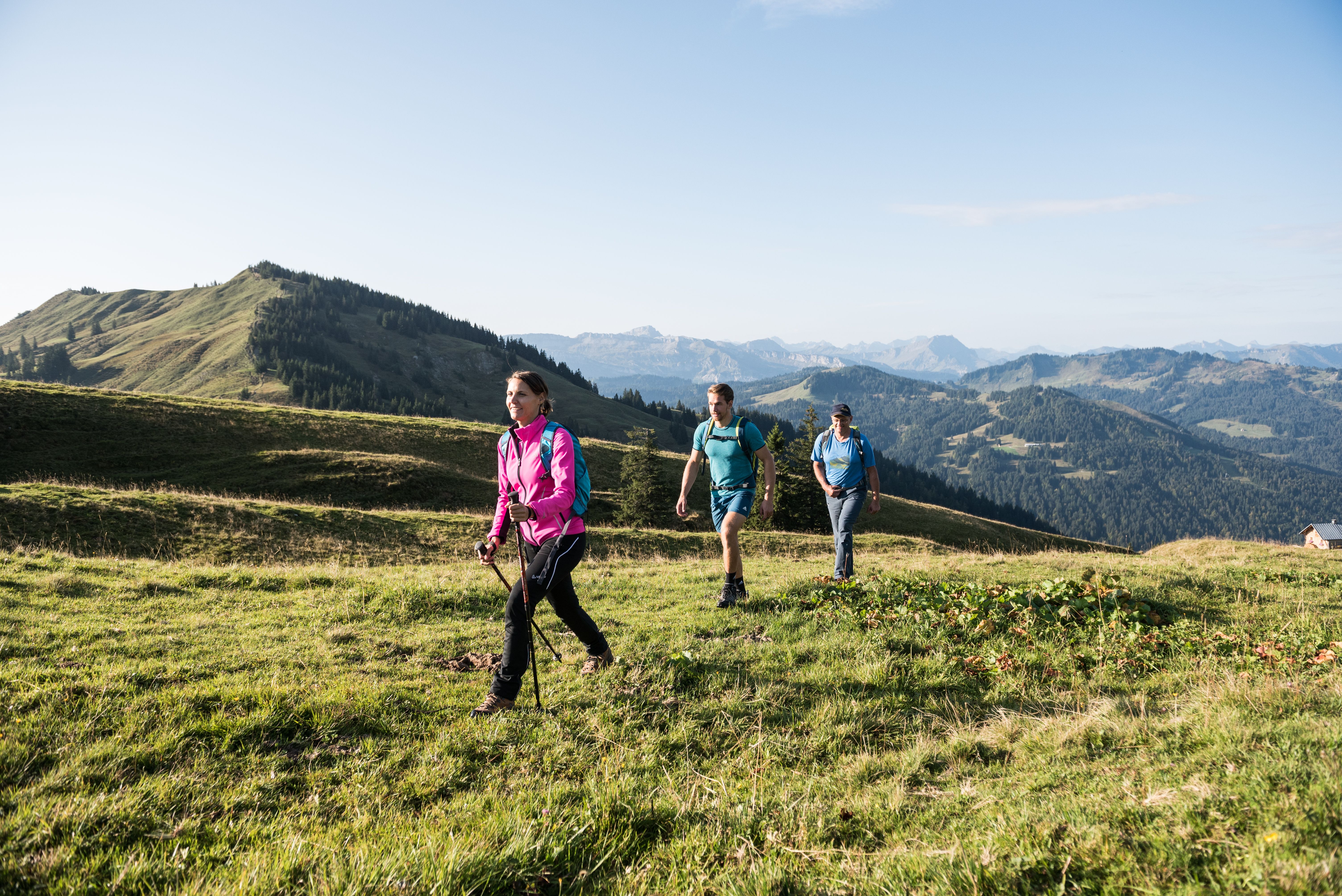 Wandern im Naturpark Nagelfluhkette bei Balderschwang - Hörnerdörfer im Allgäu