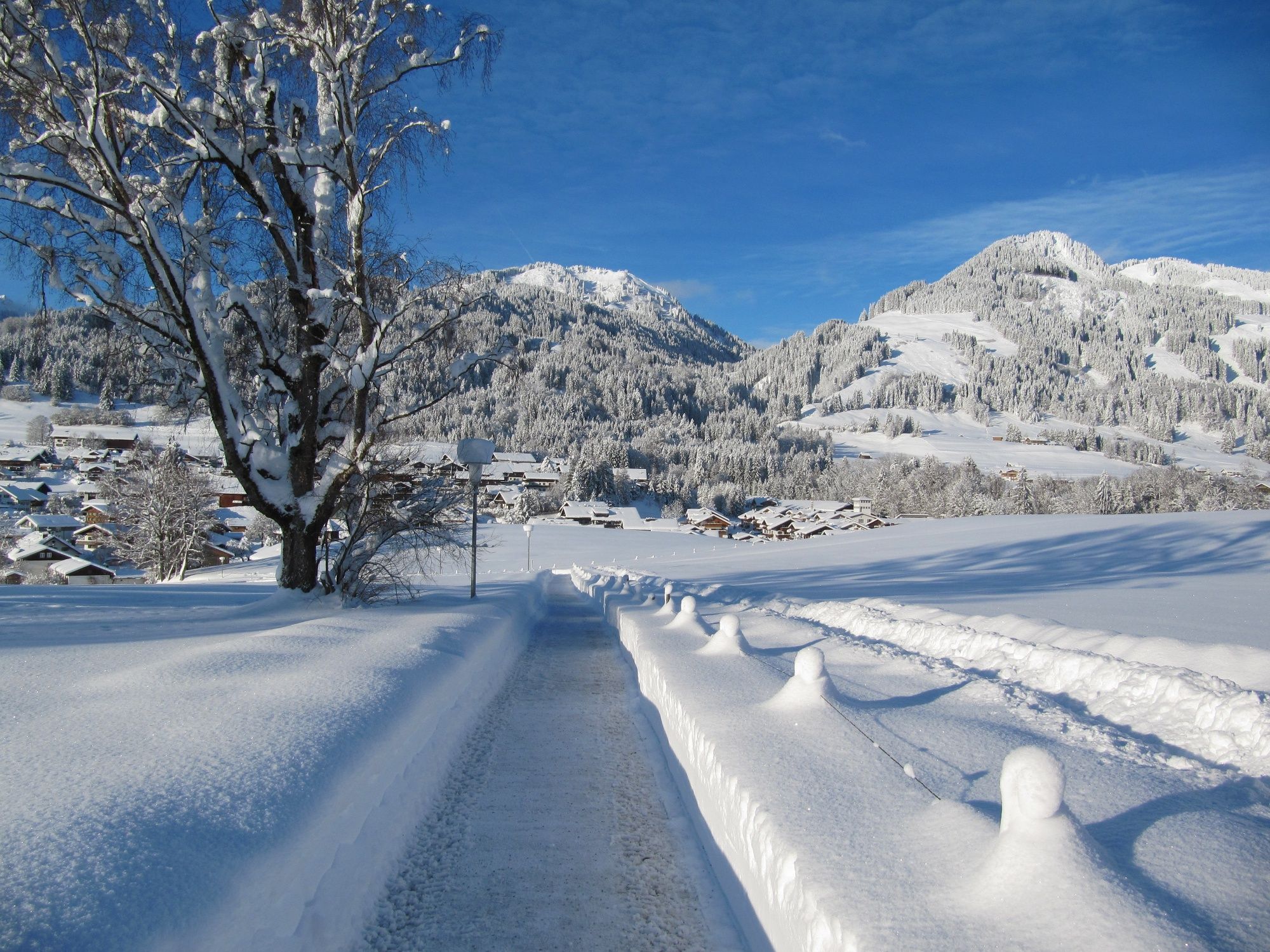 Winterwanderweg zur Spöckwiese in Obermaiselstein