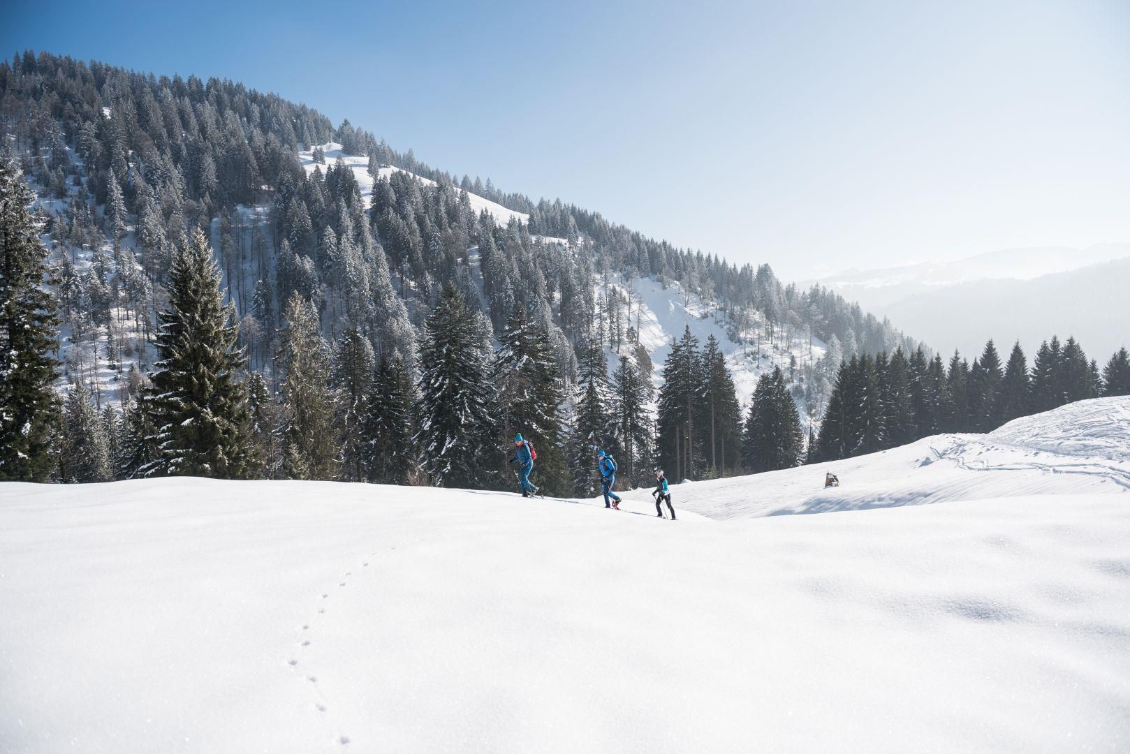 Schneeschuhtour im schönen Balderschwang