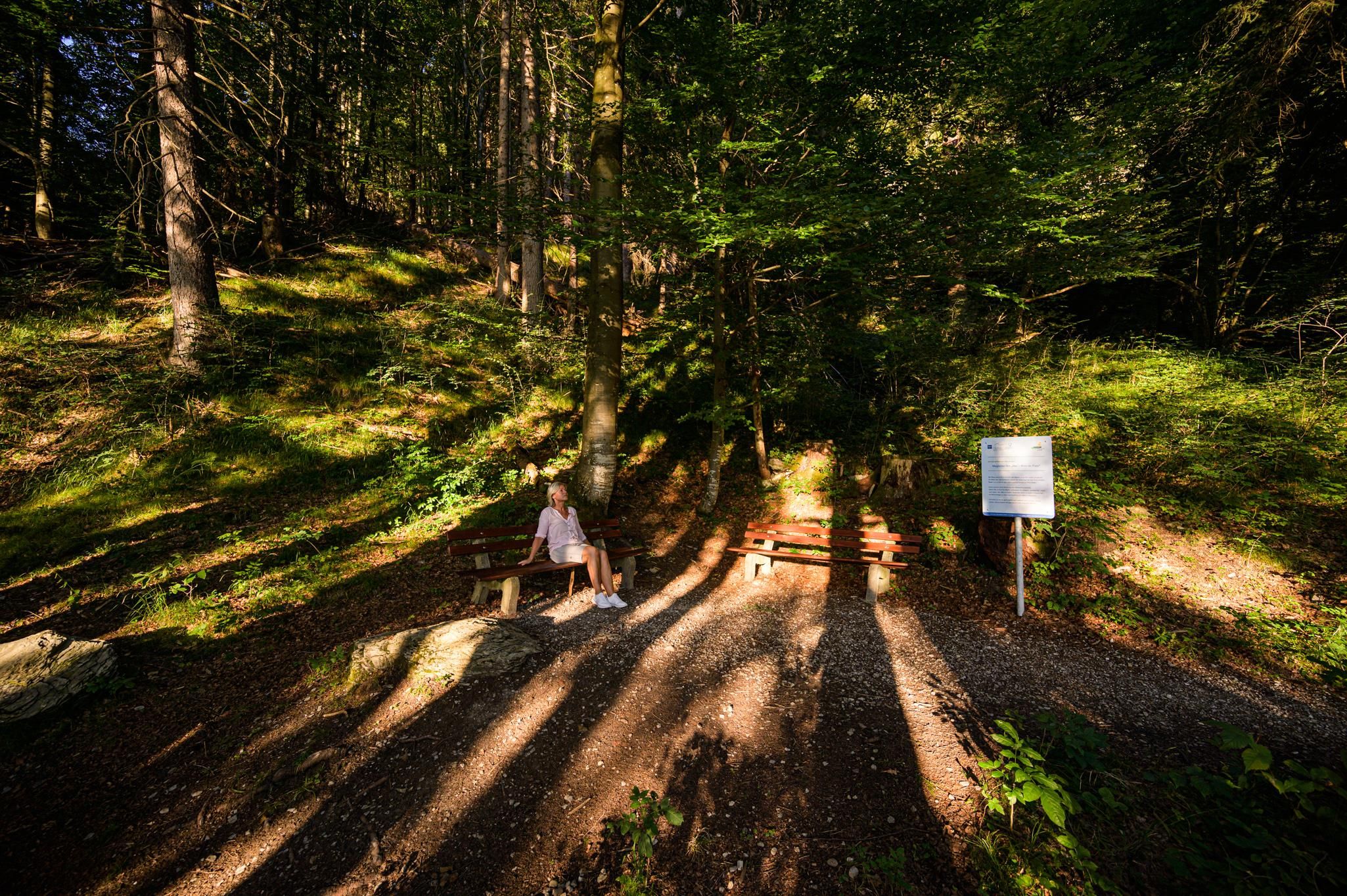 Ruhebank in der Sonne beim magischen Ort "Iller"