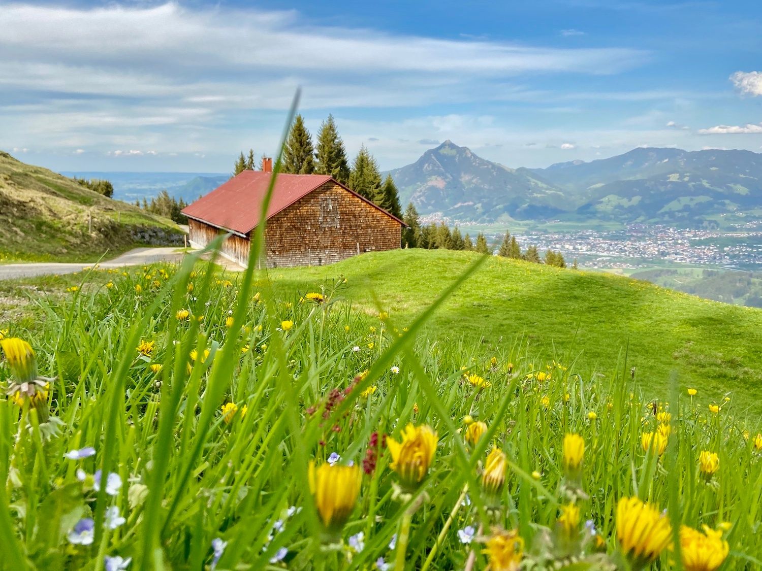 Rundweg Ofterschwanger Horn mit Blick zum Grünten