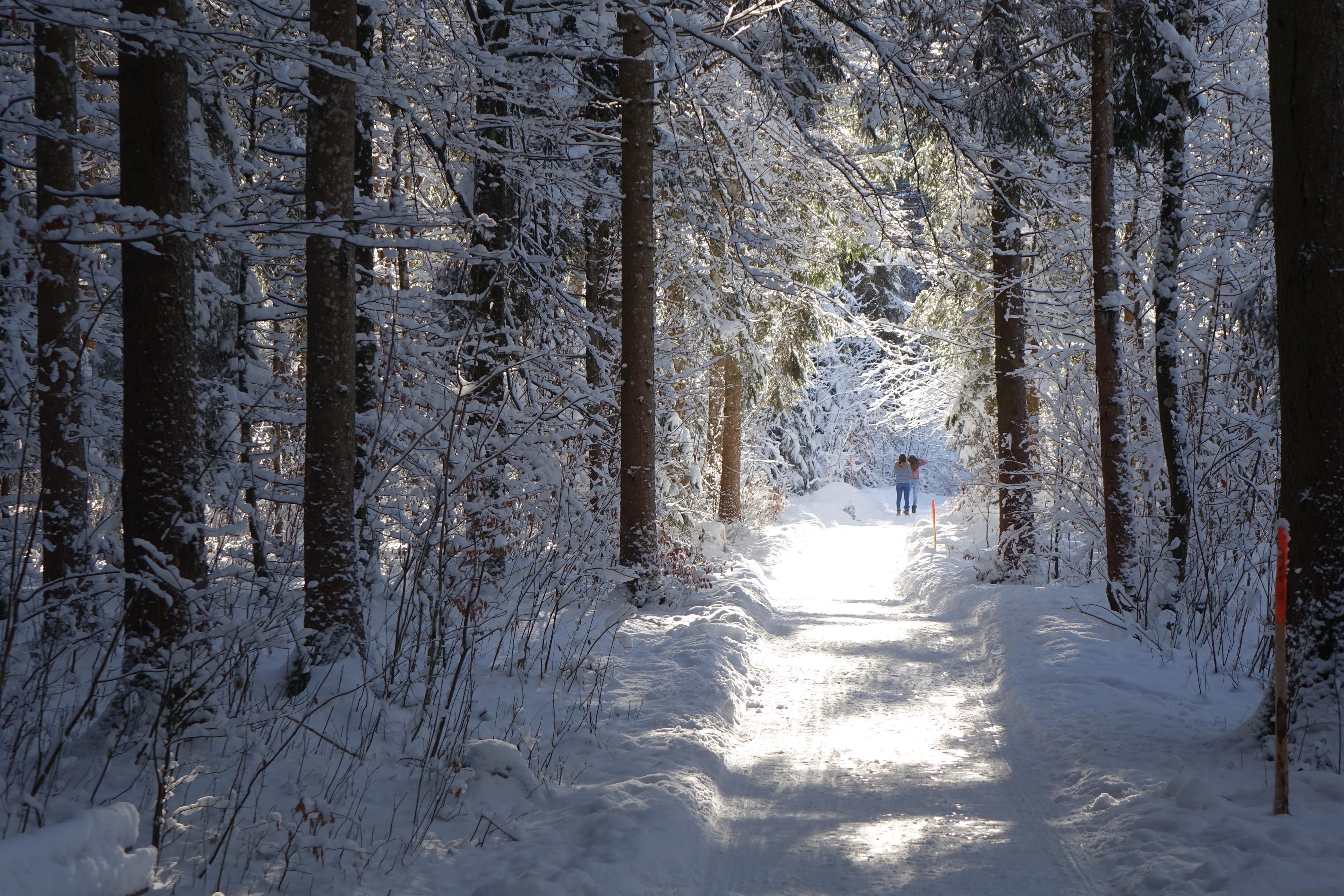 winterliche Landschaft